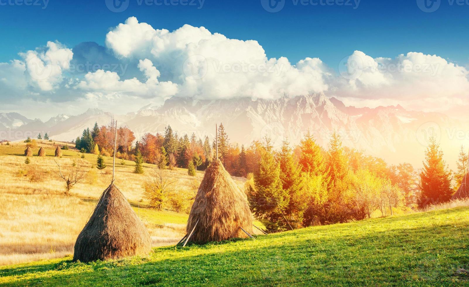 traditionelle Heuhaufen, typische ländliche Szene. Karpaten. Ukraine foto