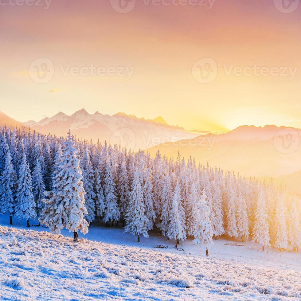 farbenprächtiger Sonnenuntergang über den Bergketten im Nationalpark foto