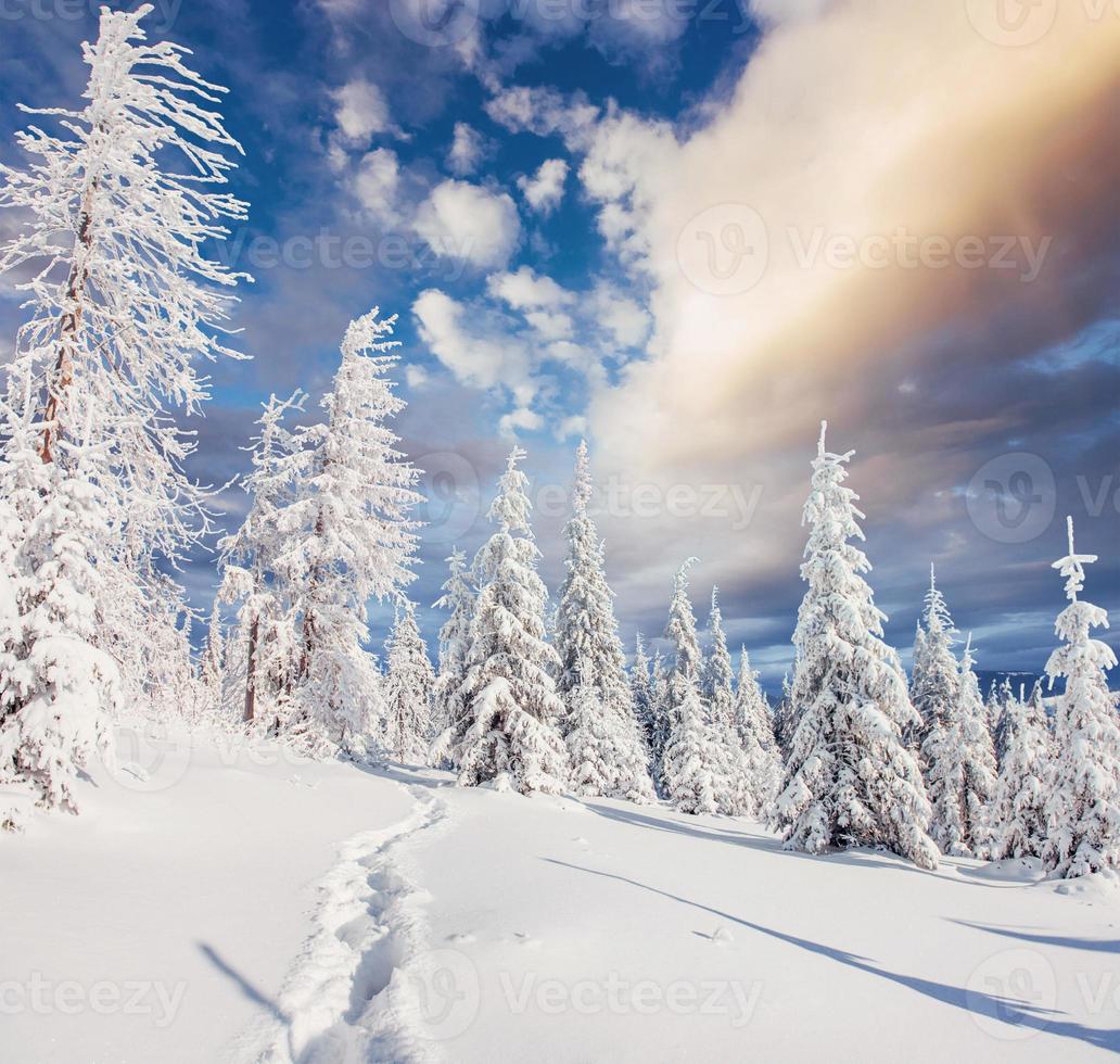 fantastische Winterlandschaft, Stufen, etwas in den Mo foto
