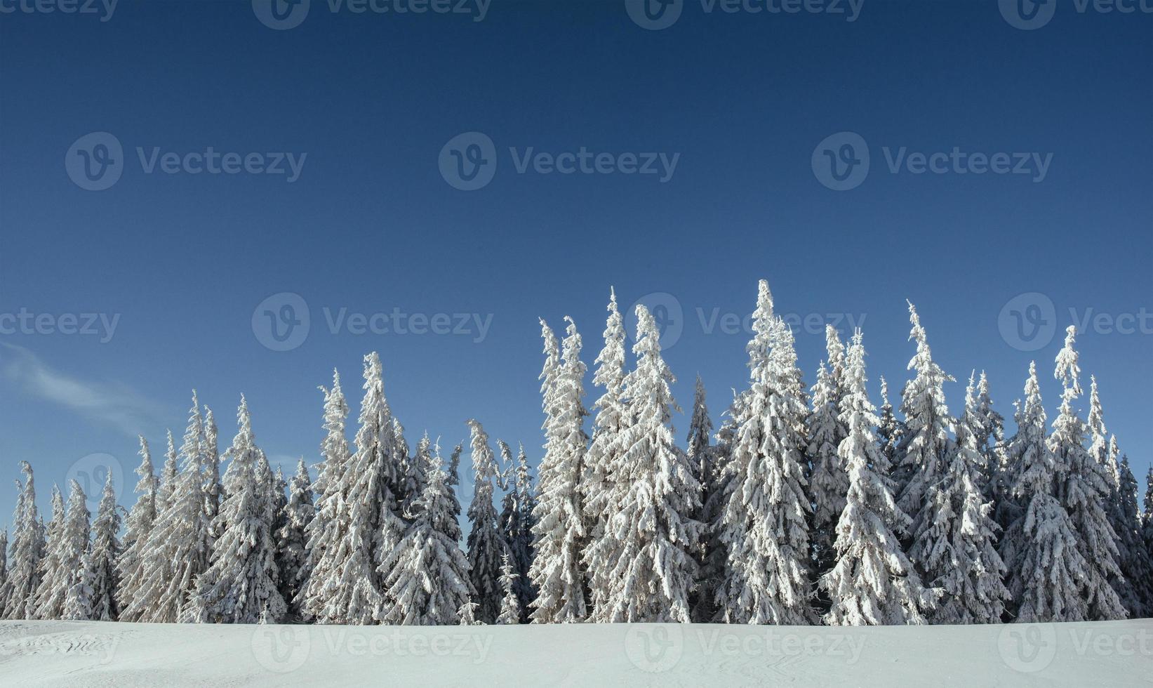 geheimnisvolle winterlandschaft majestätische berge foto