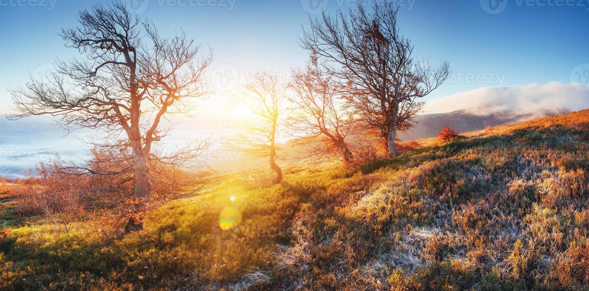 fantastisches Sonnenlicht am Morgen. Nebel im Berg foto