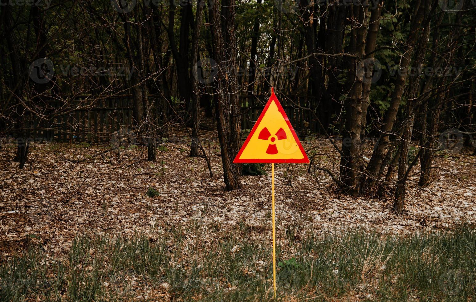 Strahlenbelastung Schild Hintergrund Toter Wald auf Tschernobyl, Ukraine. foto