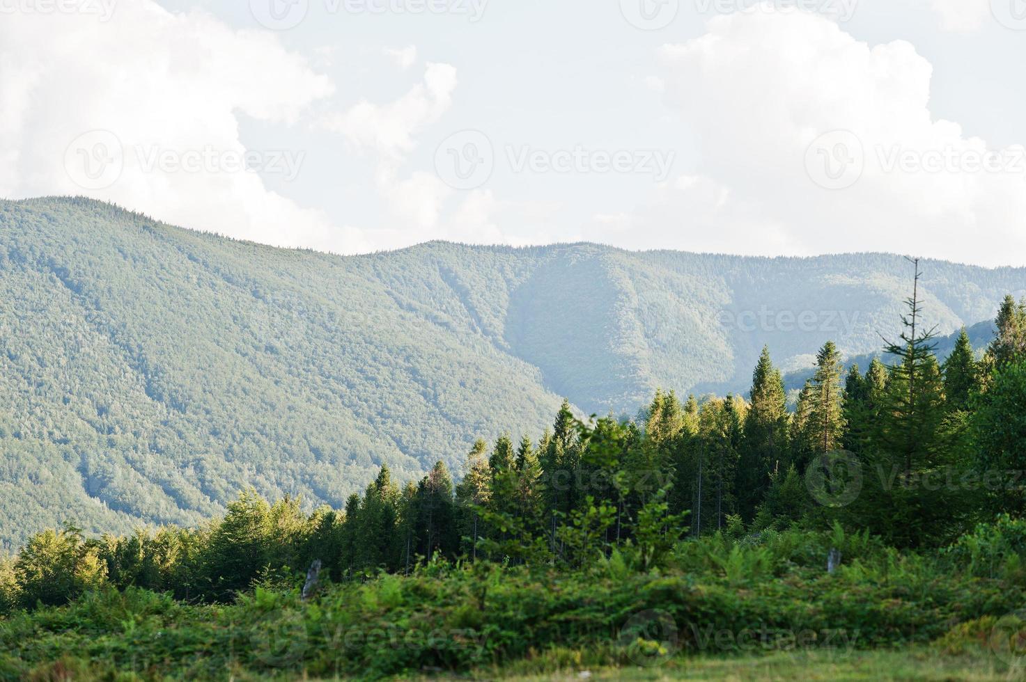 Blick auf die Kammkarpaten in der Westukraine foto