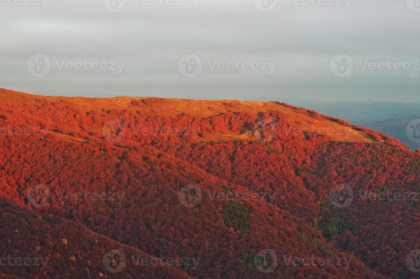 bunte rote Herbstlandschaft im Berg. nebeliger morgenberg, der von der sonne in den karpaten bei pylypets, borzhava, ukraine beleuchtet wird foto