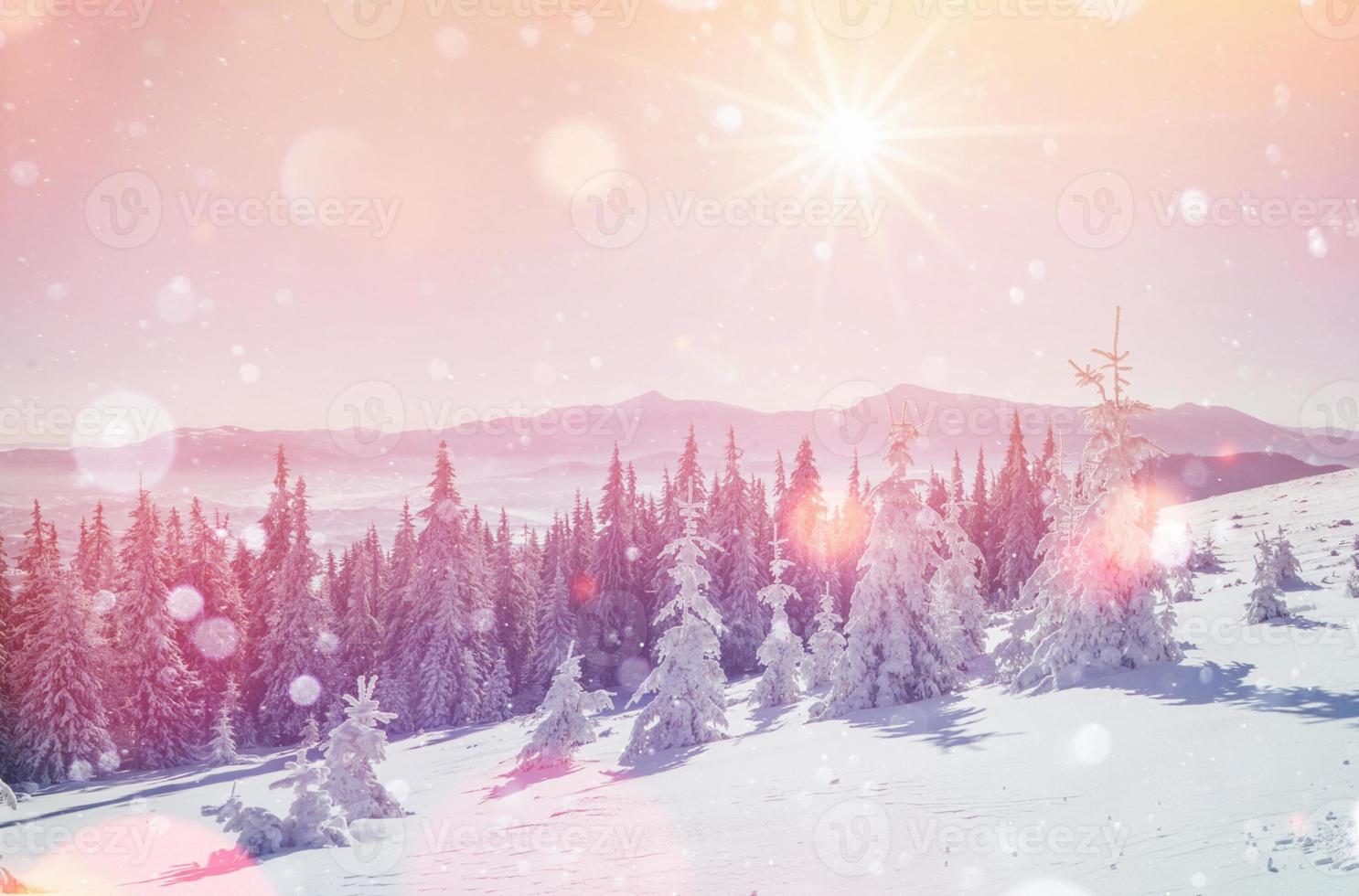 zauberhafte Winterlandschaft, Hintergrund mit einigen sanften Highlights a foto