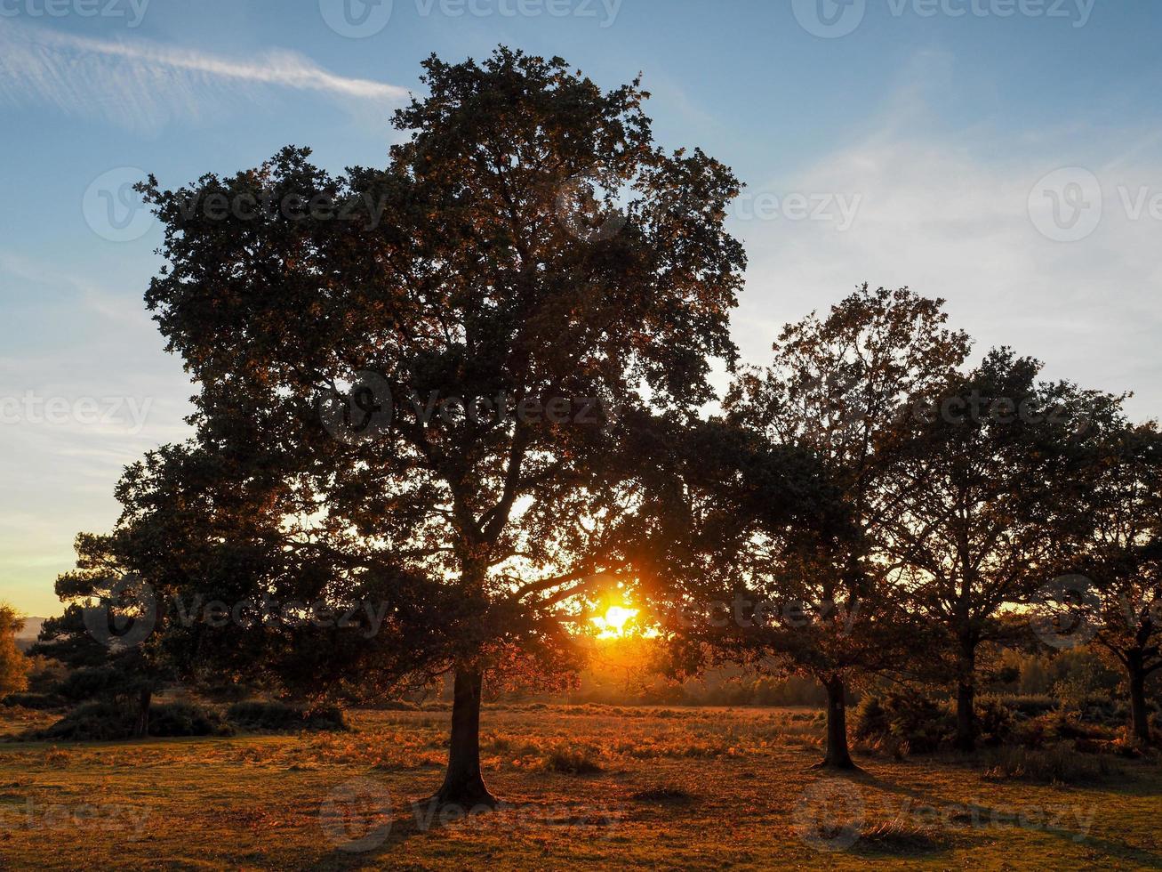 Sonnenuntergang über dem Ashdown-Wald in Sussex foto