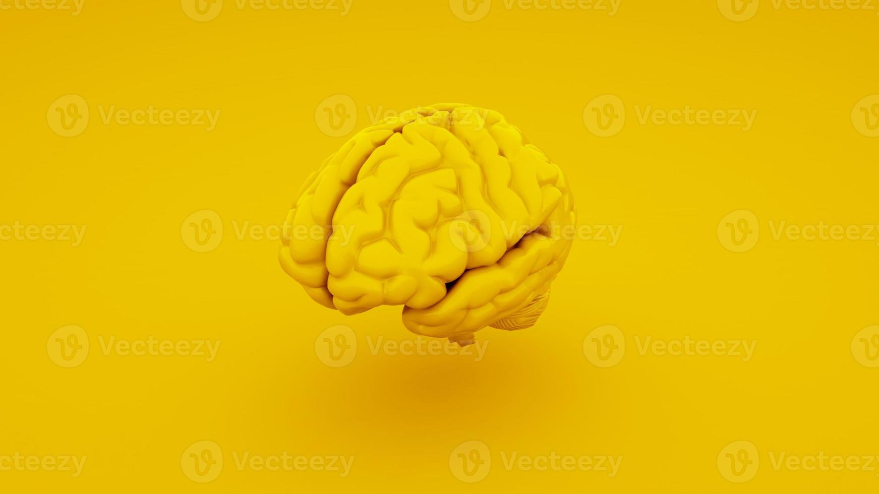 menschliches Gehirn, anatomisches Modell isoliert auf gelbem Hintergrund. 3D-Darstellung foto