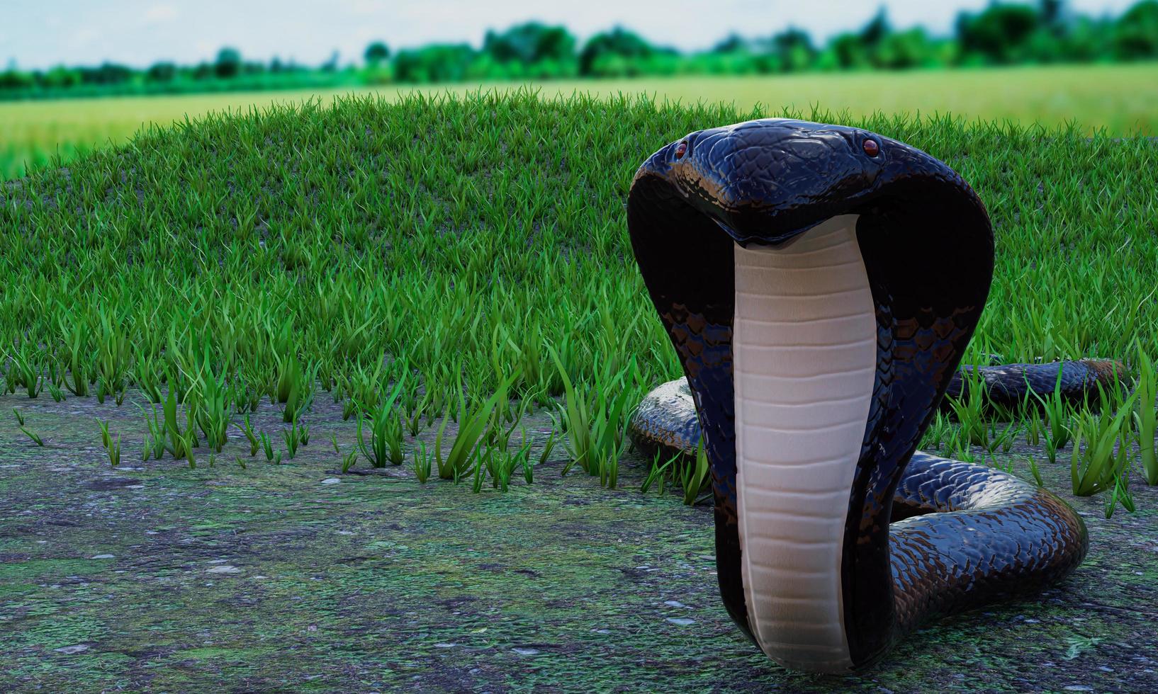 Die Kobra breitet die Kapuze aus. heben, um sich auf den Angriff vorzubereiten. eine Schlange, die auf dem Boden kriecht, dort ist überwuchertes Gras. Die giftigen Reptilien sind für die Welt gefährlich. 3D-Rendering foto