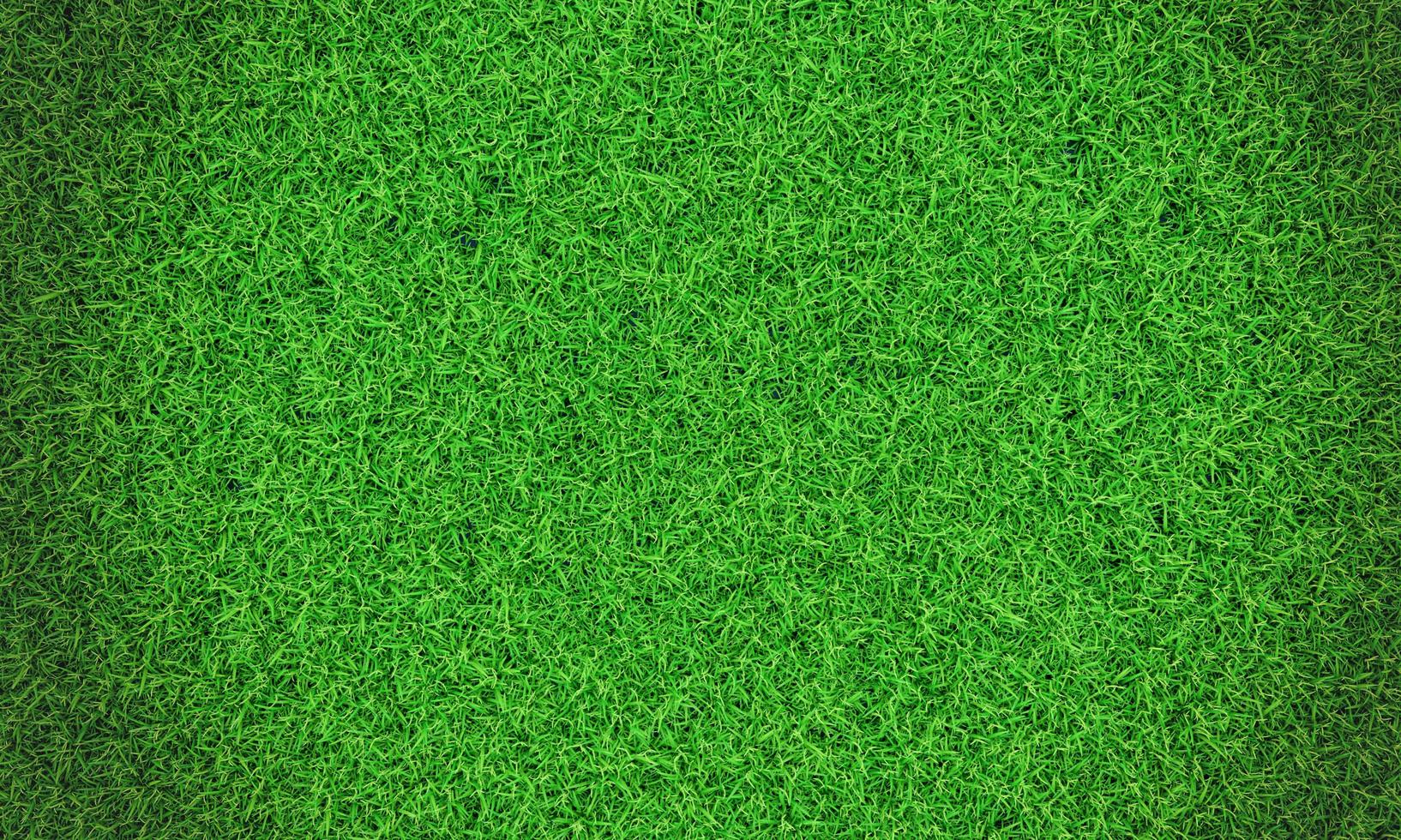 Hintergrundvignette des grünen Grases oder die natürliche Wandbeschaffenheit. Draufsicht frischer grüner Rasen für Hintergrund, Hintergrund oder Tapete. Ebenen und Gräser in verschiedenen Größen sind sauber und ordentlich. der Rasen foto