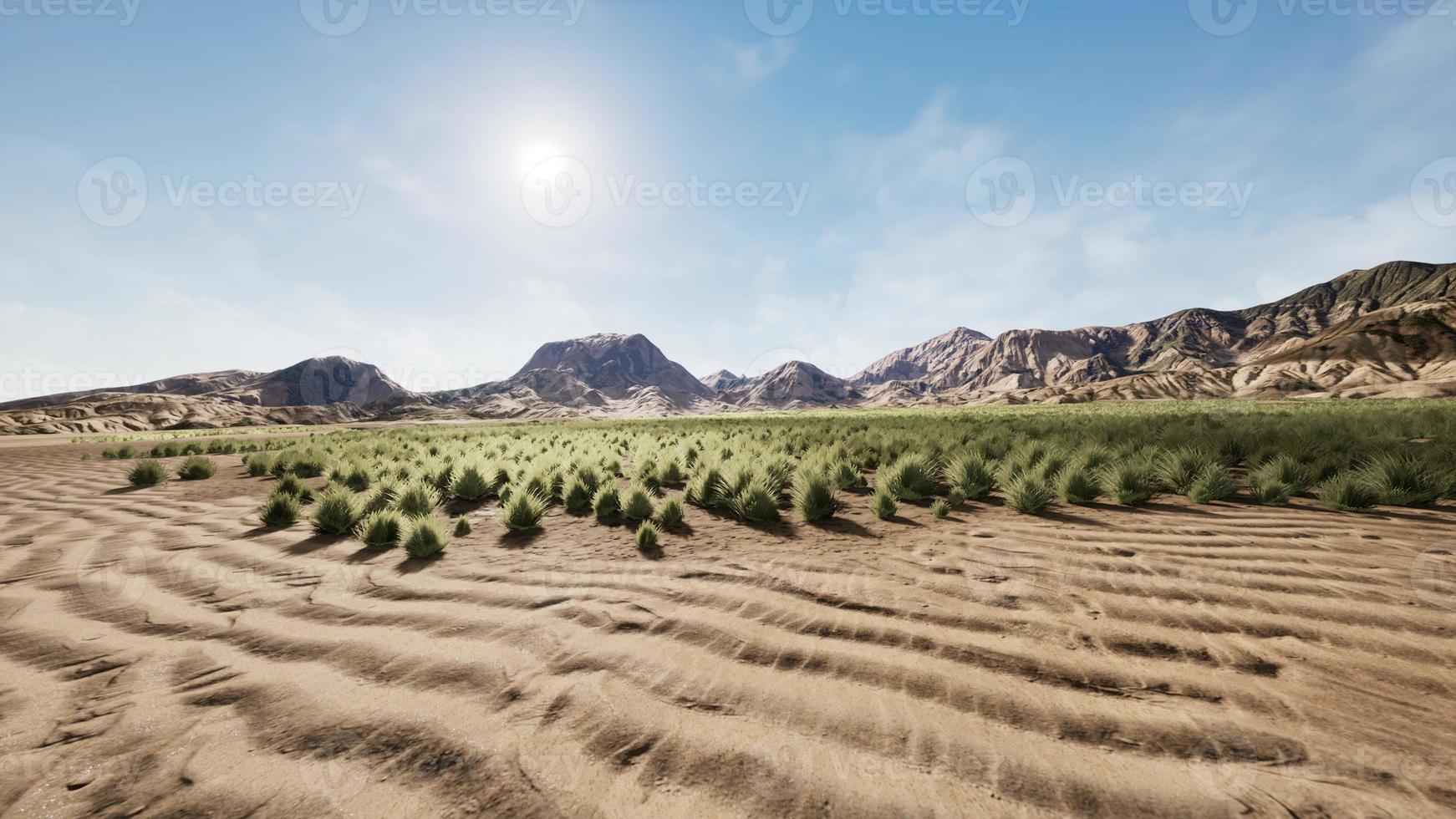 Steinwüste im australischen Outback foto