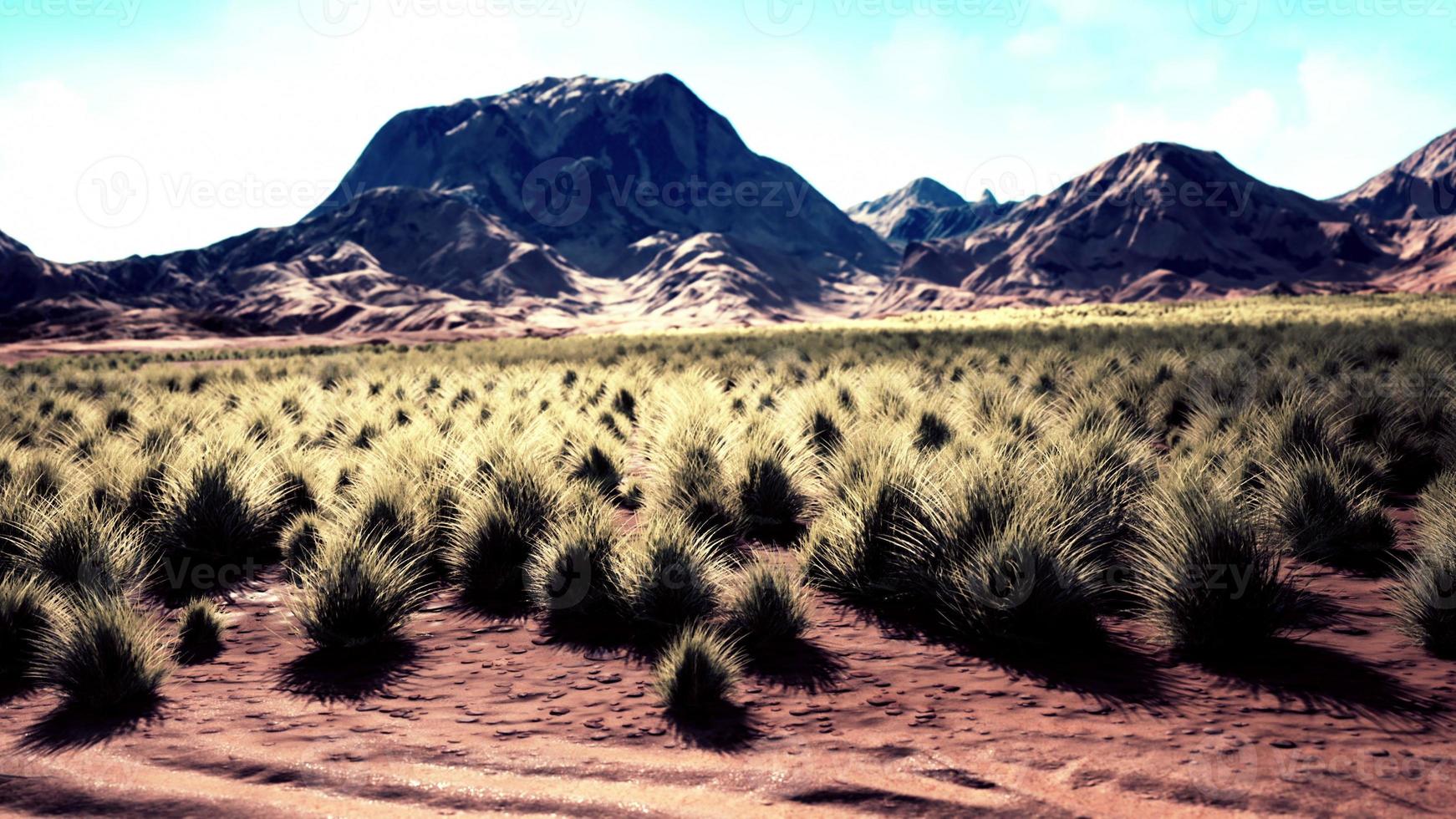 Steinwüste im australischen Outback foto