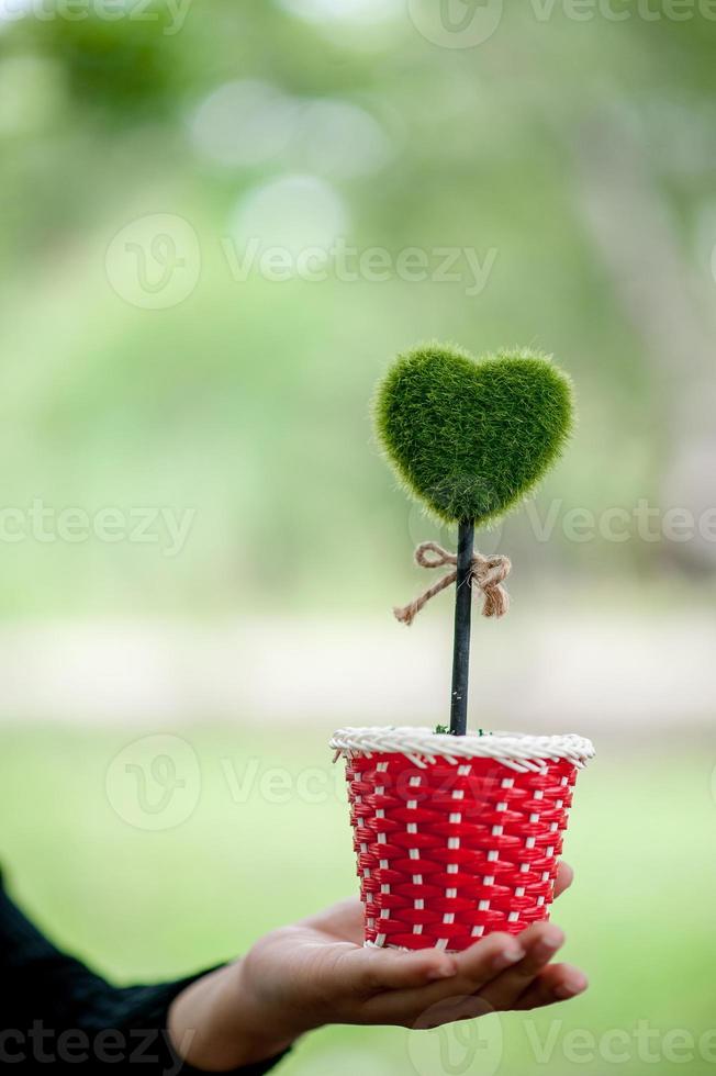 schöne grüne hand- und herzbilder valentinstagkonzept mit kopienraum foto