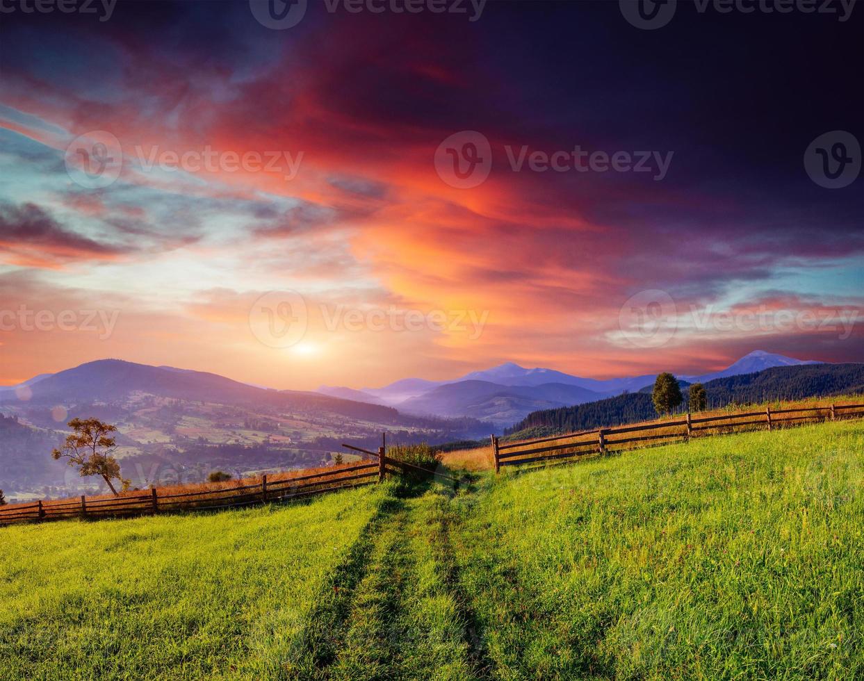 Bergsommerlandschaft. hohes Gras und bewölkter Himmel foto