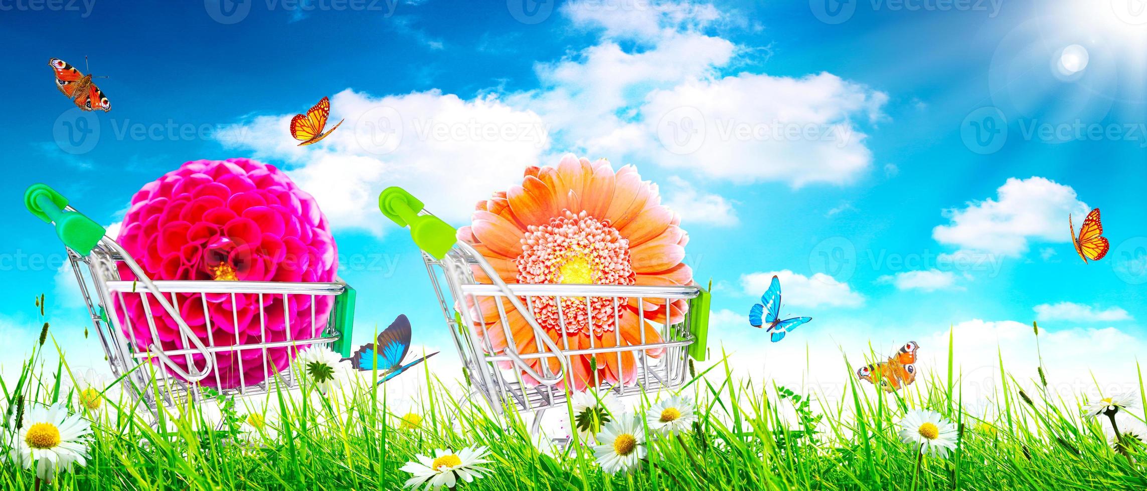 Mini-Einkaufswagen mit bunten Blumen und Schmetterlingen. foto