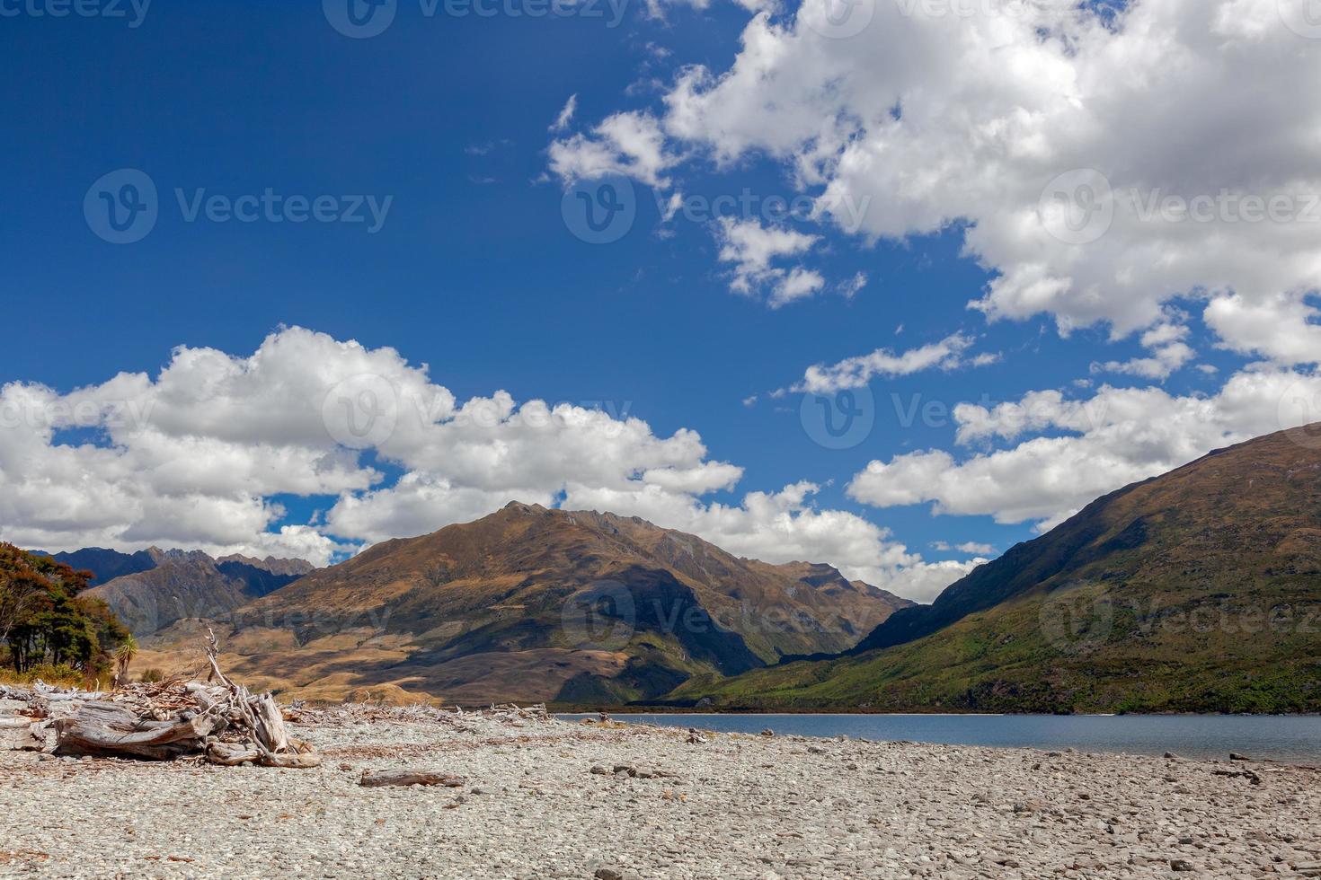 Treibholz am Ufer des Lake Wanaka foto