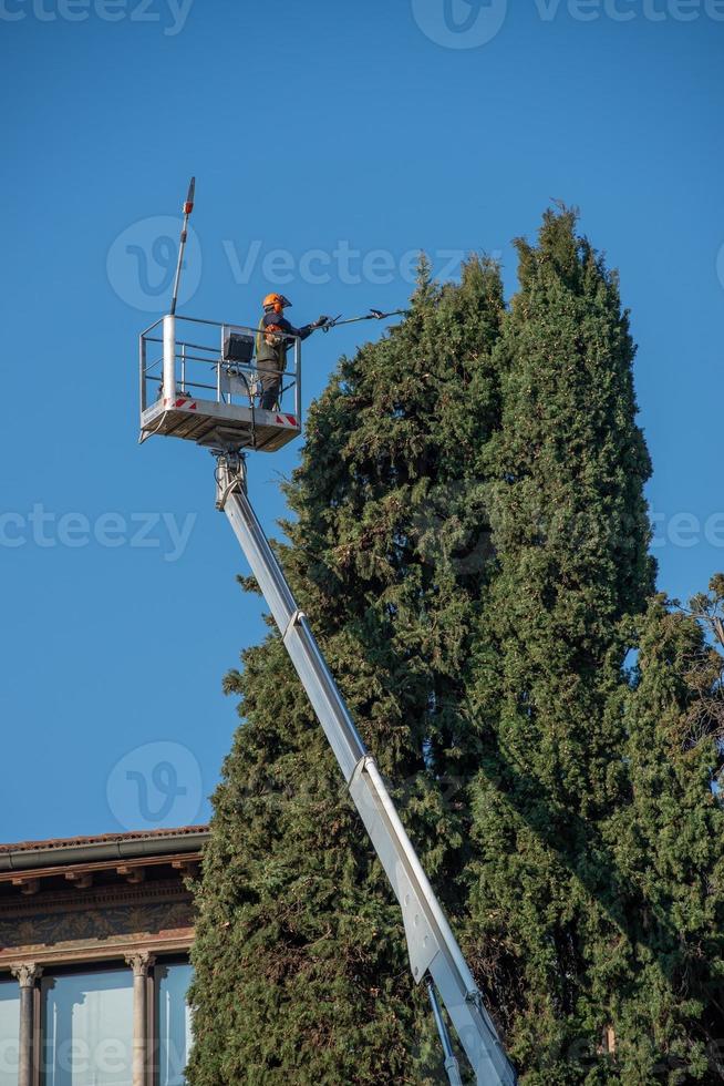 Gärtner beschneidet Baum auf mobiler Plattform foto