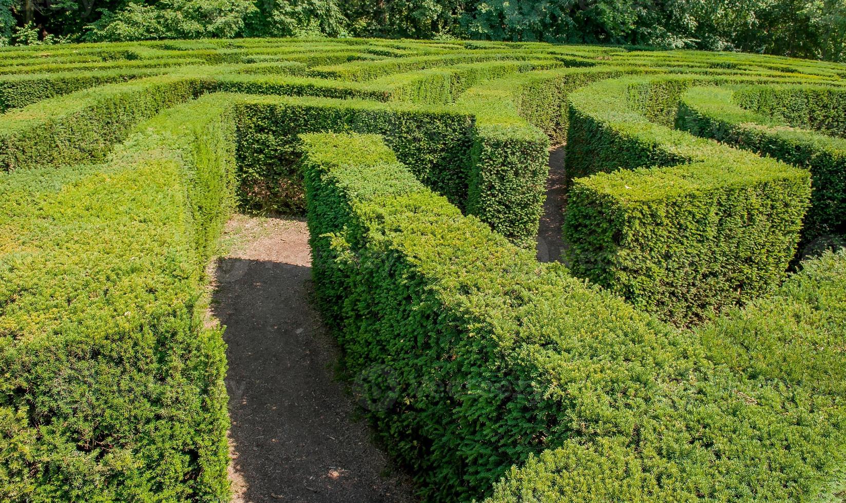 Labyrinth im Botanischen Garten foto