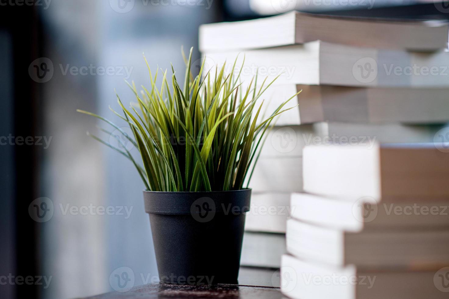 buch auf dem schreibtisch viele bücher, schöne farben zum studieren, wissen, bildung - bilder foto