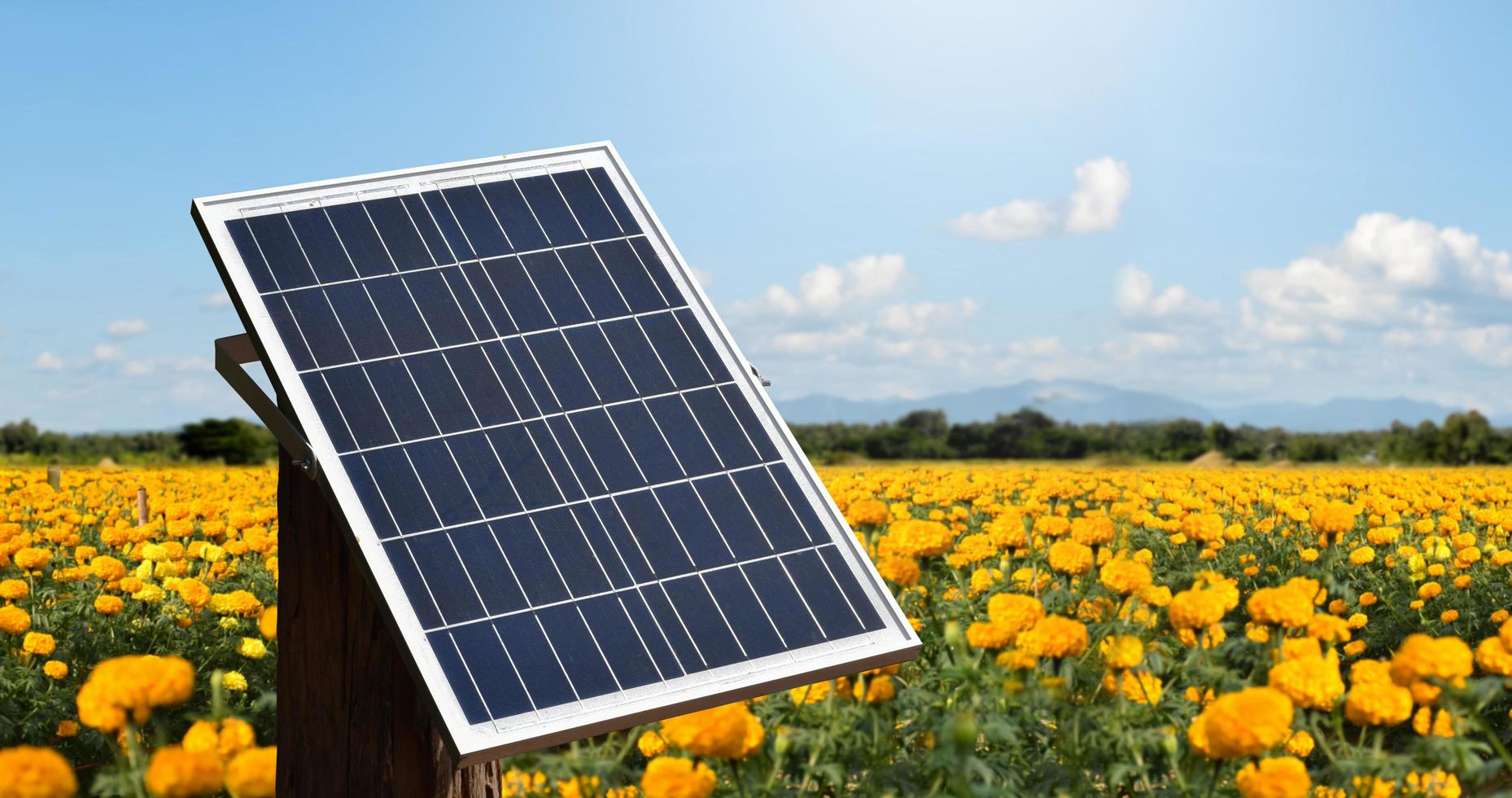 photovoltaikpanel, neue technologie zum speichern und nutzen der energie aus der natur mit menschlichem leben, nachhaltiger energie und umweltfreundlichem konzept foto