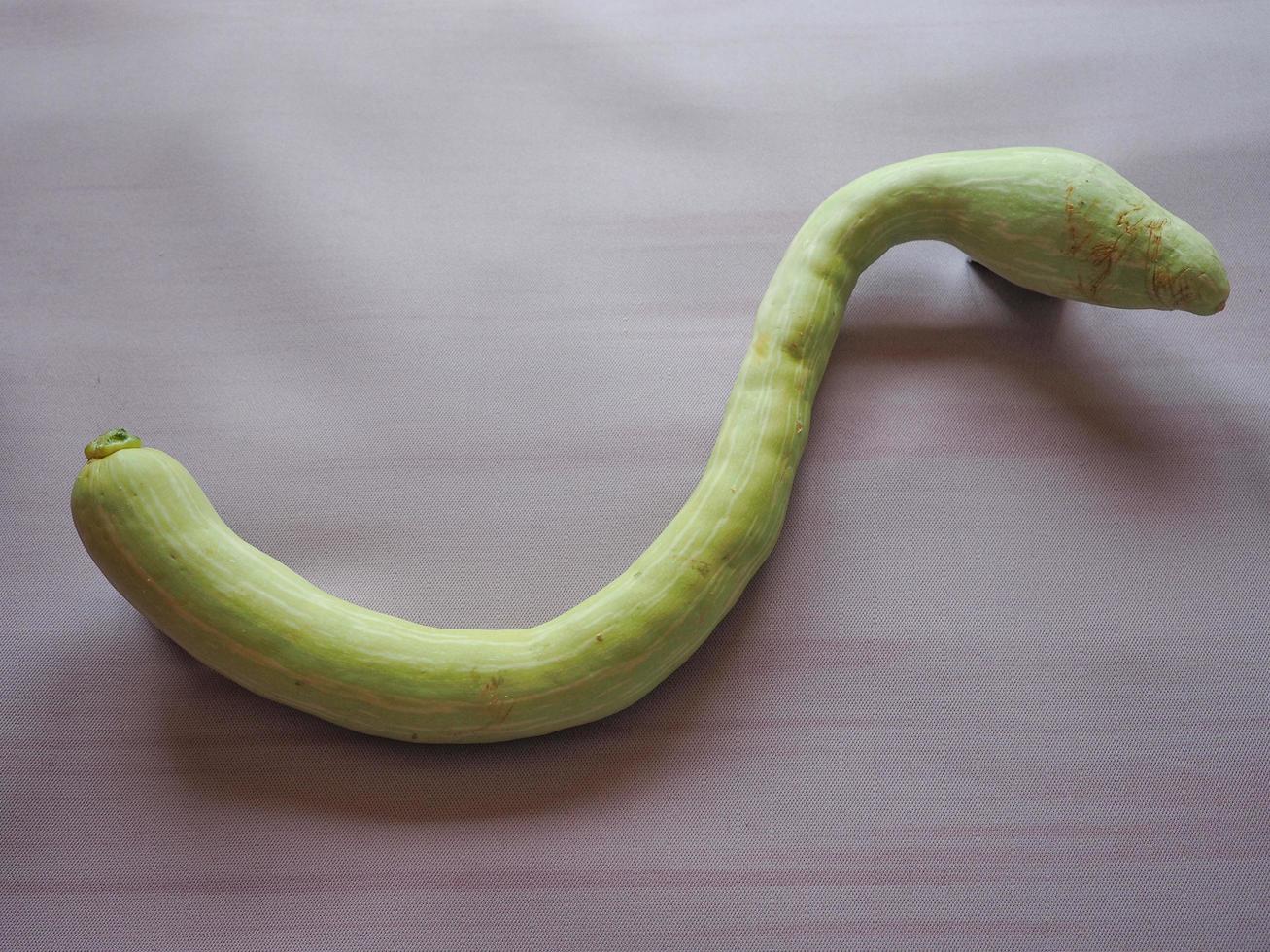Schlangenförmiger Kürbis foto