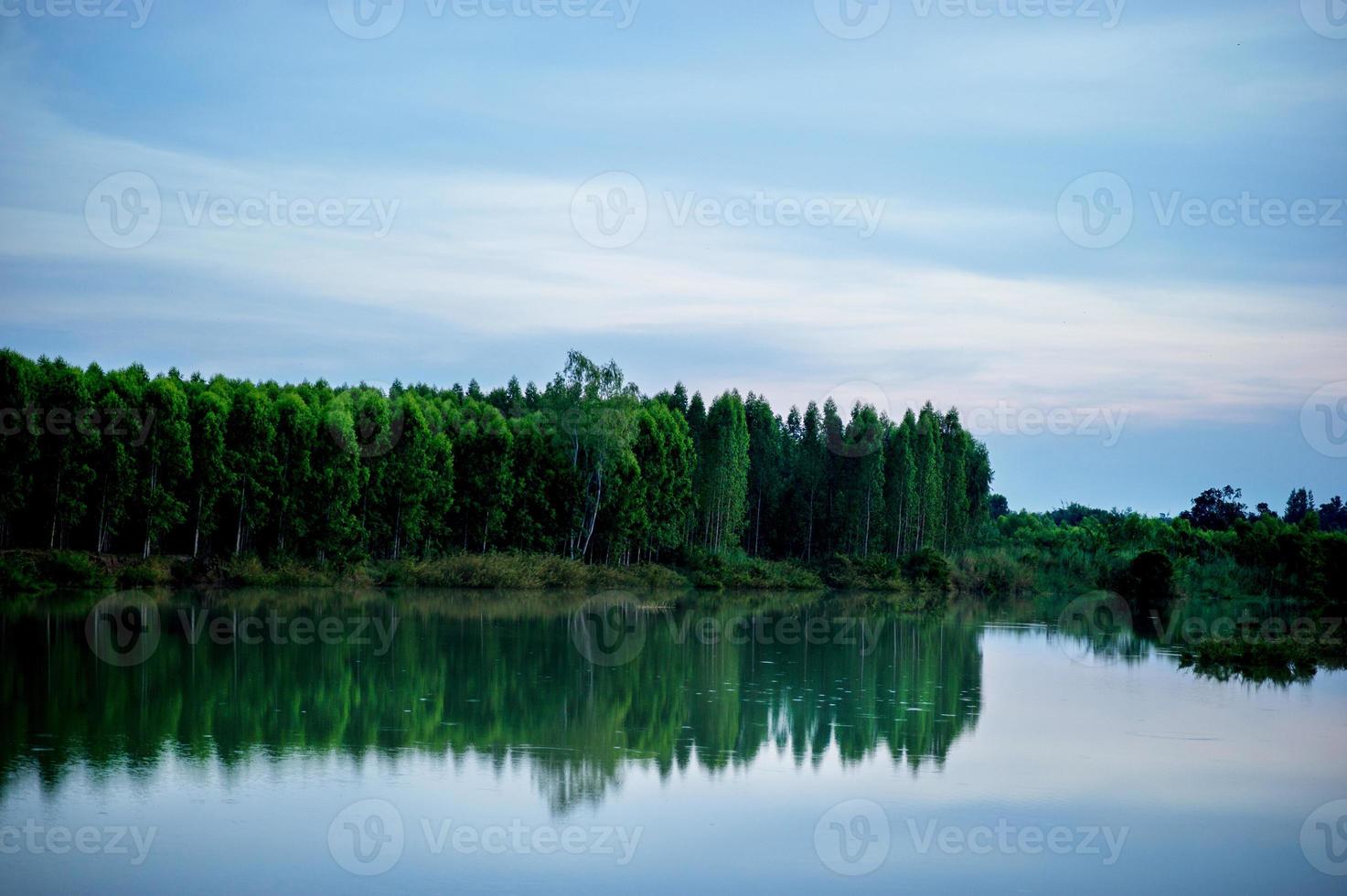 Bilder von Bäumen und Flüssen, Bächen und schöner Natur am Abend des alltäglichen Naturkonzepts foto