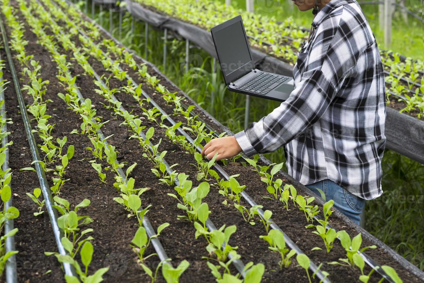 Zugeschnittenes Bild einer jungen Bäuerin, die einen Laptop in der Hand hält und in einer Gemüsegärtnerei auf einem Biobauernhof arbeitet foto