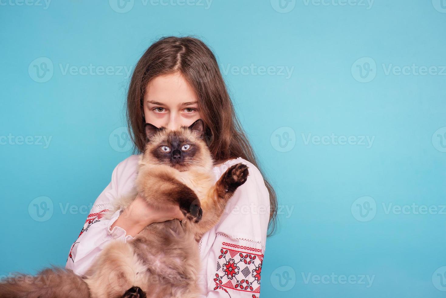 Teenager-Mädchen mit einer Katze im Arm. Mädchen auf blauem Hintergrund. neva maskerade katze. foto