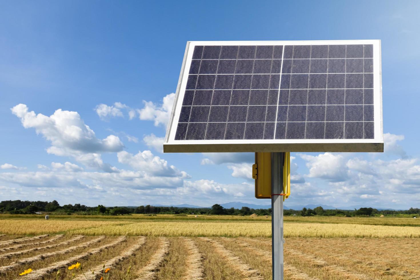 photovoltaikpanel, neue technologie zum speichern und nutzen der energie aus der natur mit menschlichem leben, nachhaltiger energie und umweltfreundlichem konzept. foto