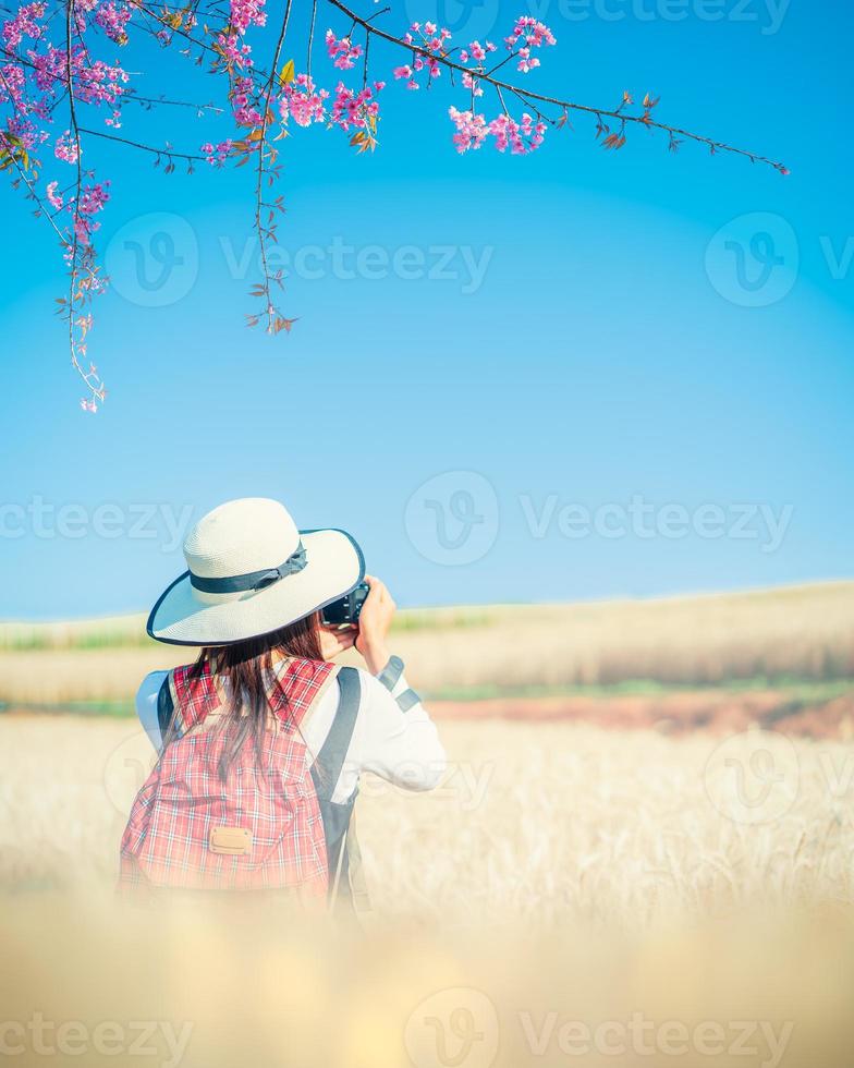 reisende frau, die morgens ein weizenfeld fotografiert. foto