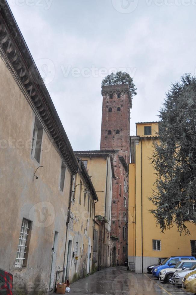 torre guinigi turm in lucca, toskana, italien foto