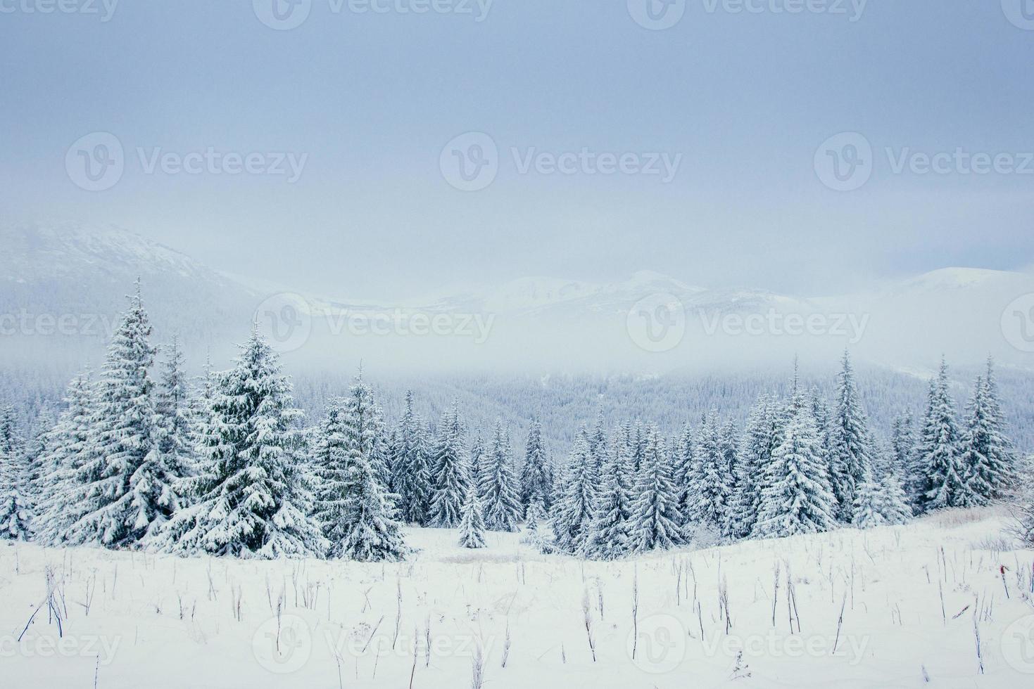 winterlandschaft, die durch sonnenlicht leuchtet. dramatische Winterszene. foto