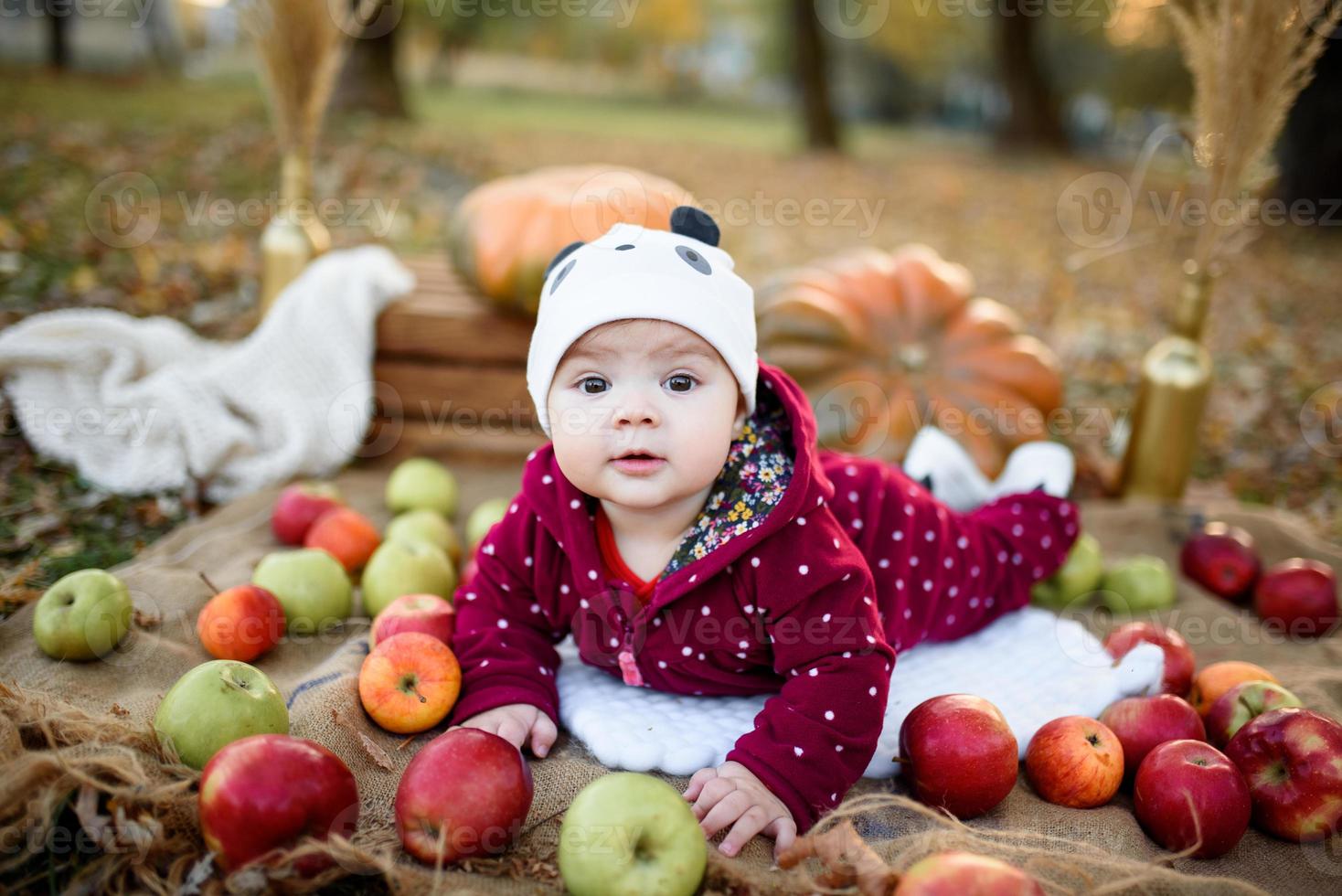 kleines Mädchen wählt einen Apfel für die erste Fütterung foto