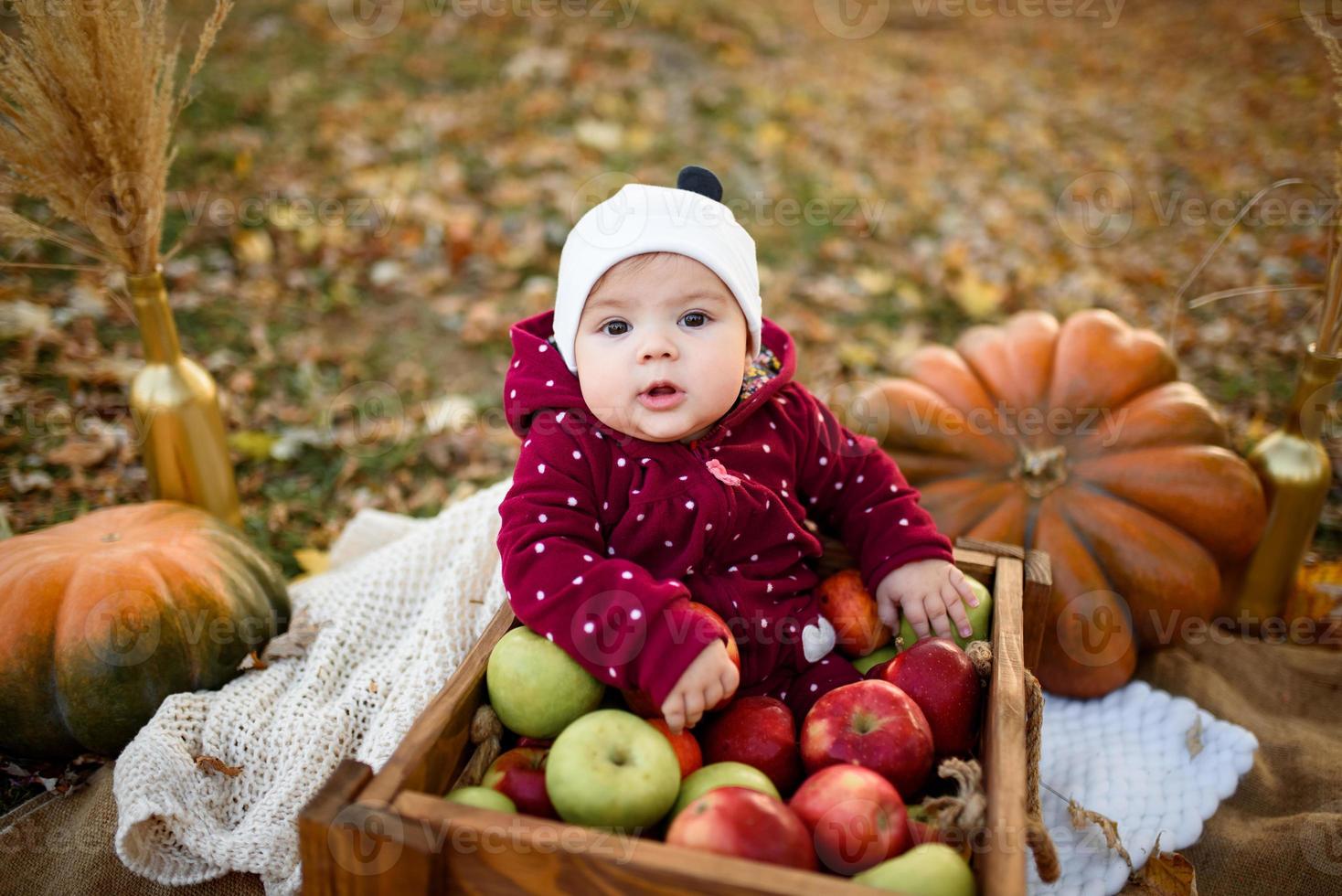 kleines Mädchen wählt einen Apfel für die erste Fütterung foto