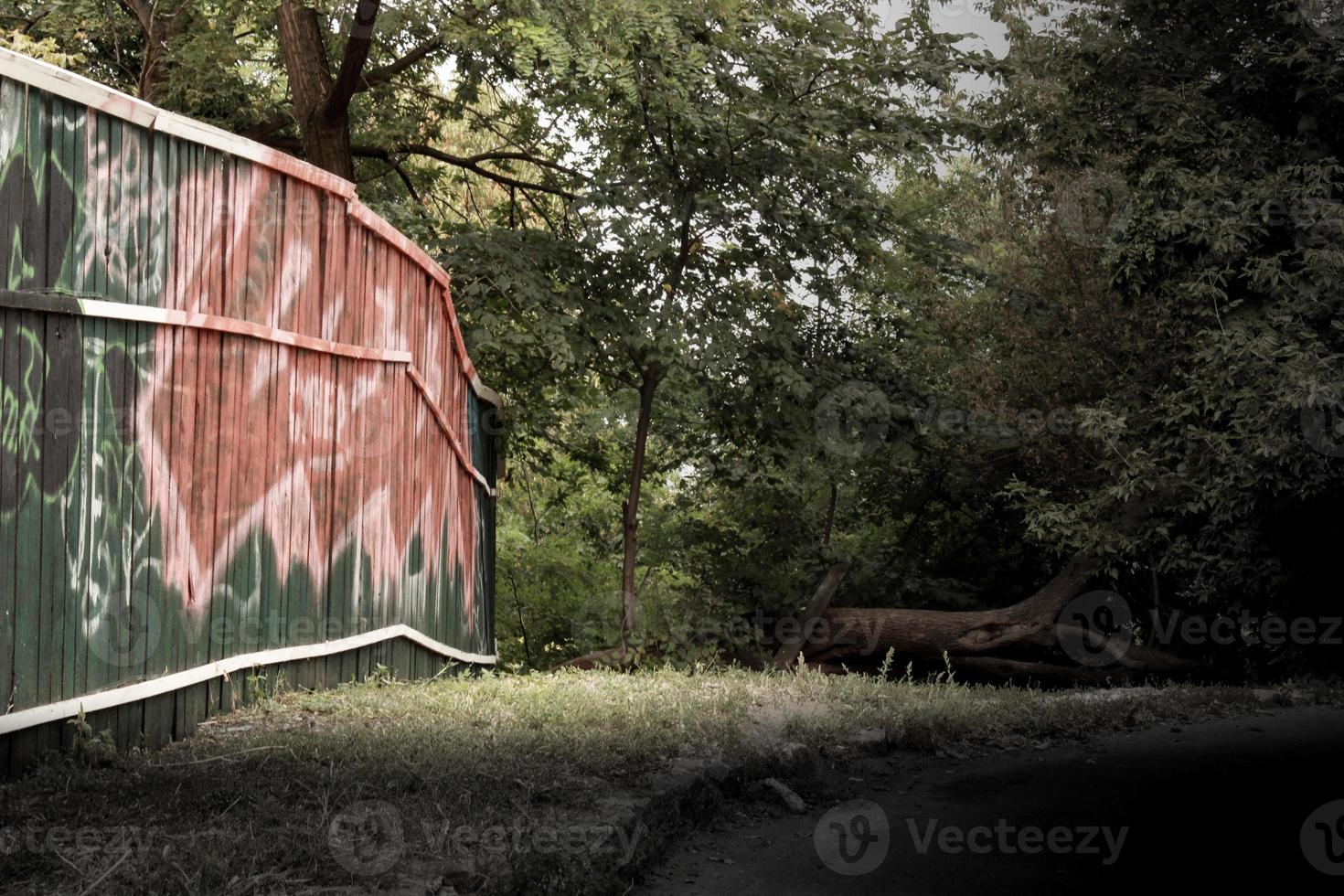 Holzwand mit Graffiti im Wald foto