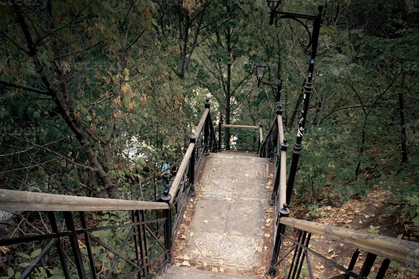 Metall- und Holztreppen, die durch die Bäume in Kiew den Wald hinuntergehen foto