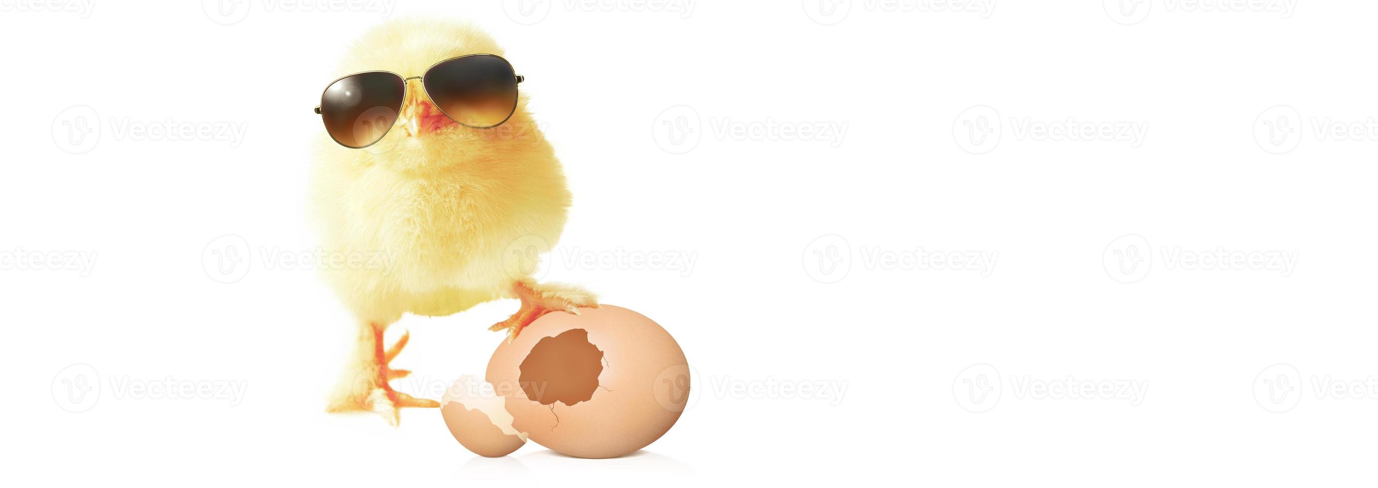 lustiges süßes Küken mit Sonnenbrille und Eiern. foto