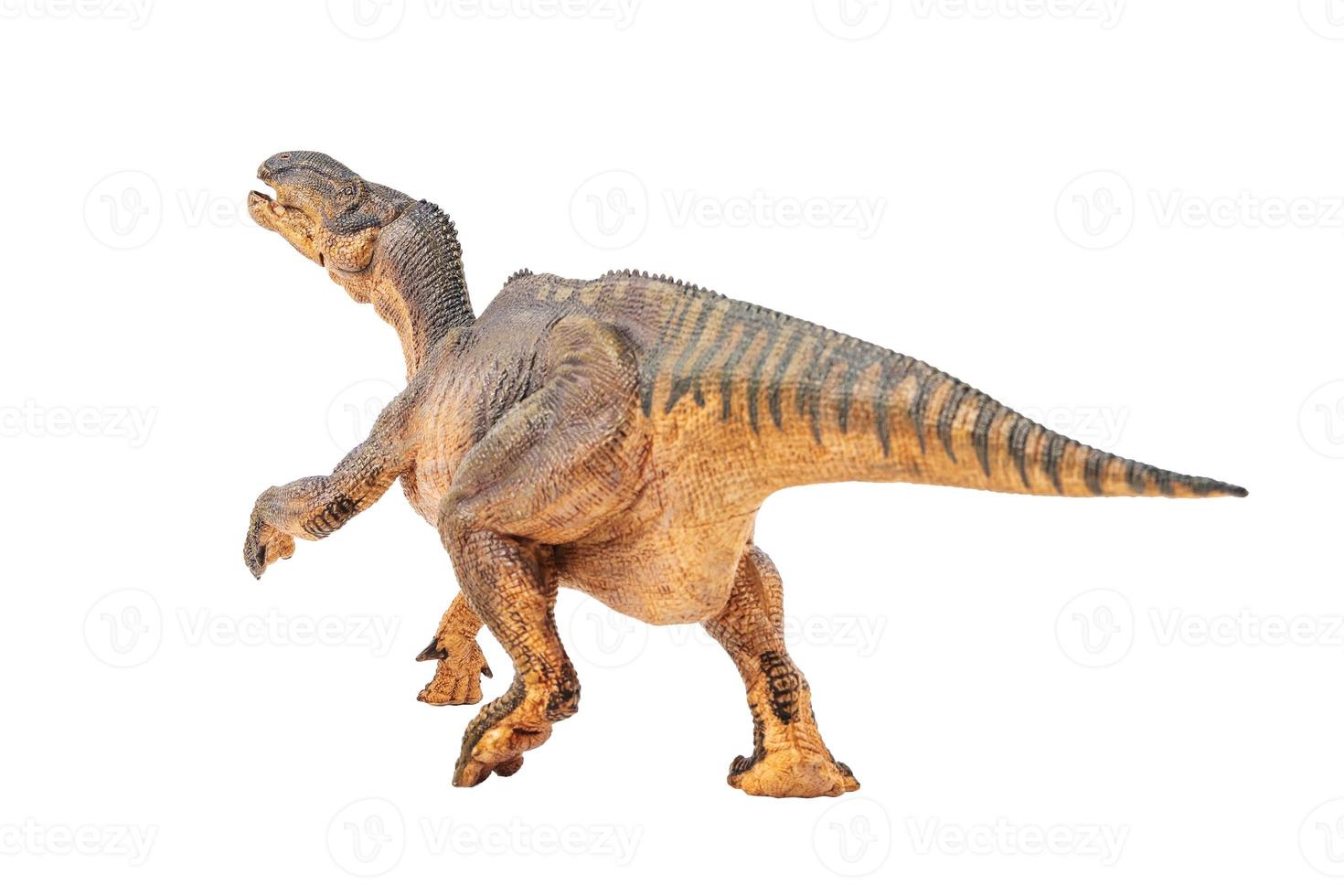 Iguanodon, Dinosaurier auf weißem Hintergrund foto