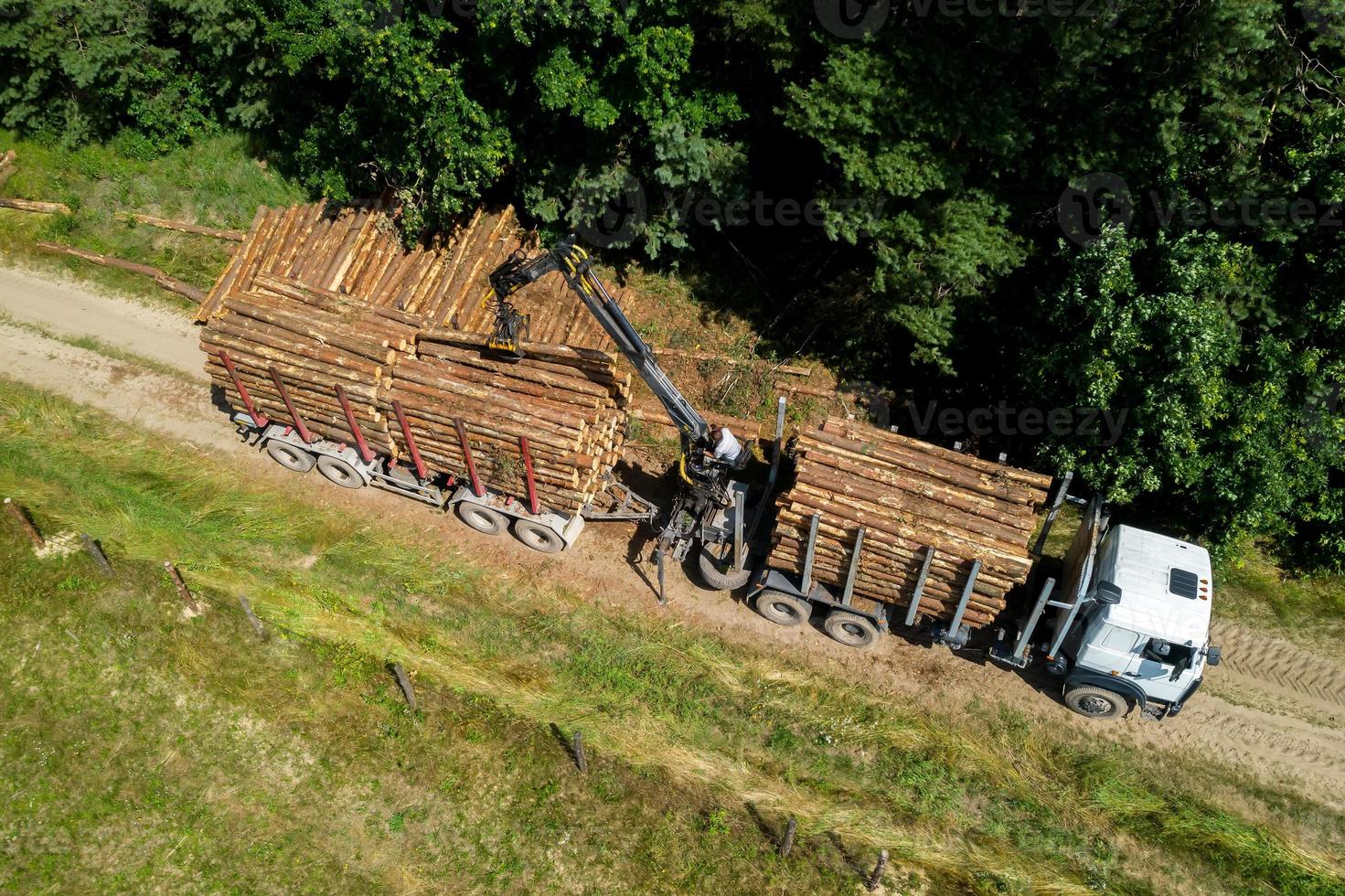 Lader lädt Baumstämme in die LKW-Draufsicht. foto