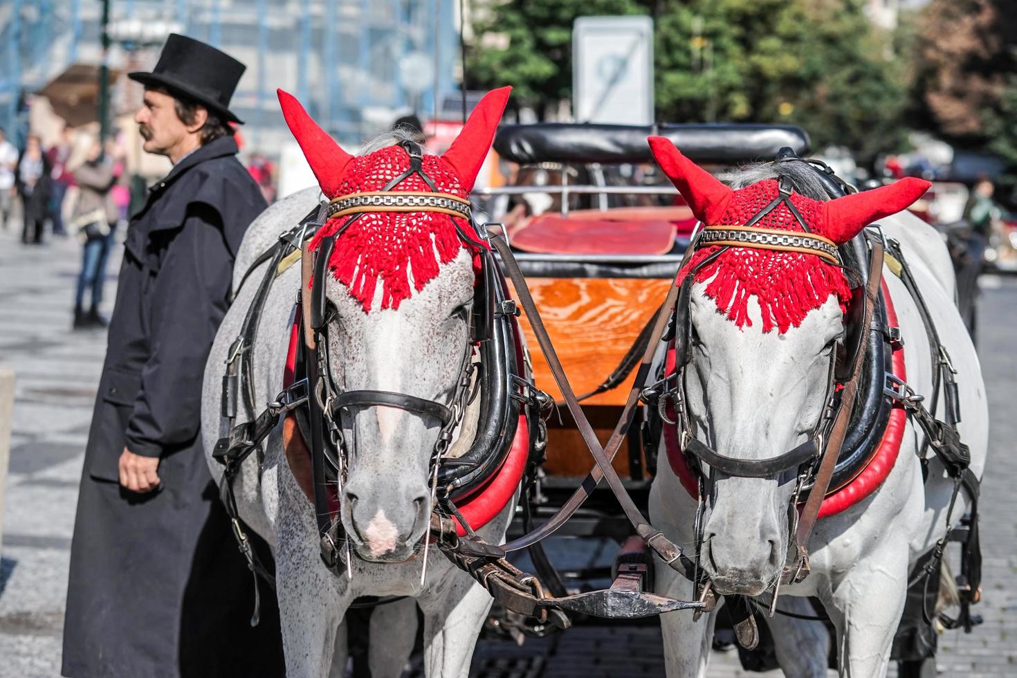 Prag, Tschechische Republik, 2014. Pferd und Kutsche auf dem Altstädter Ring in Prag foto