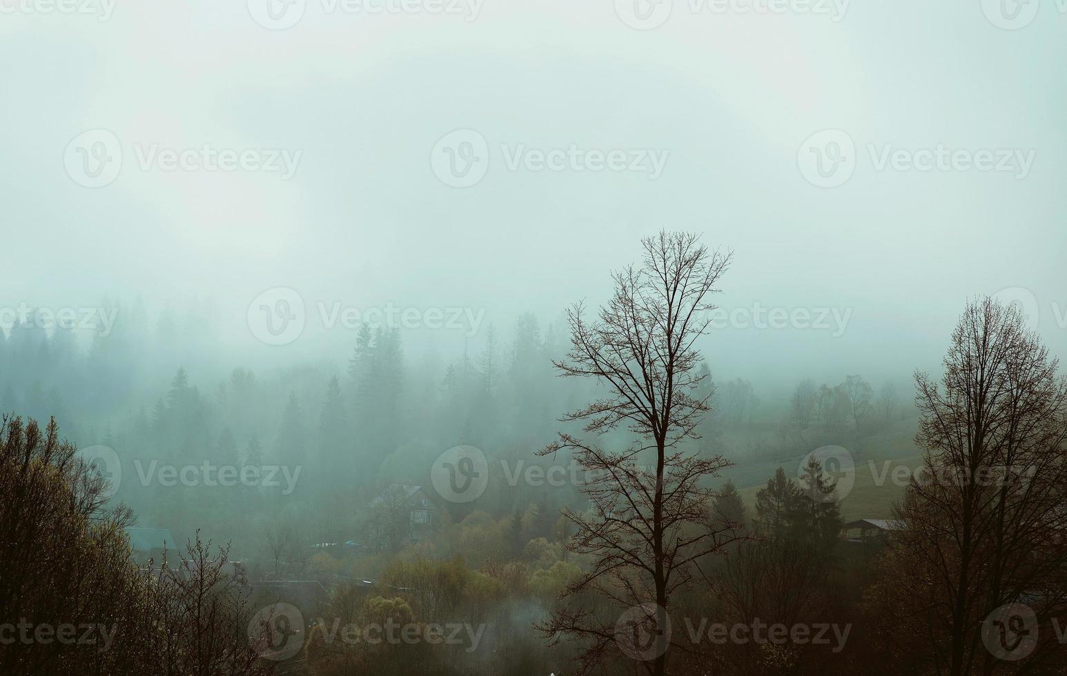 Landschaft des Hügels mit Heuhaufen in den großen Bergen im Frühling am bewölkten Tag foto