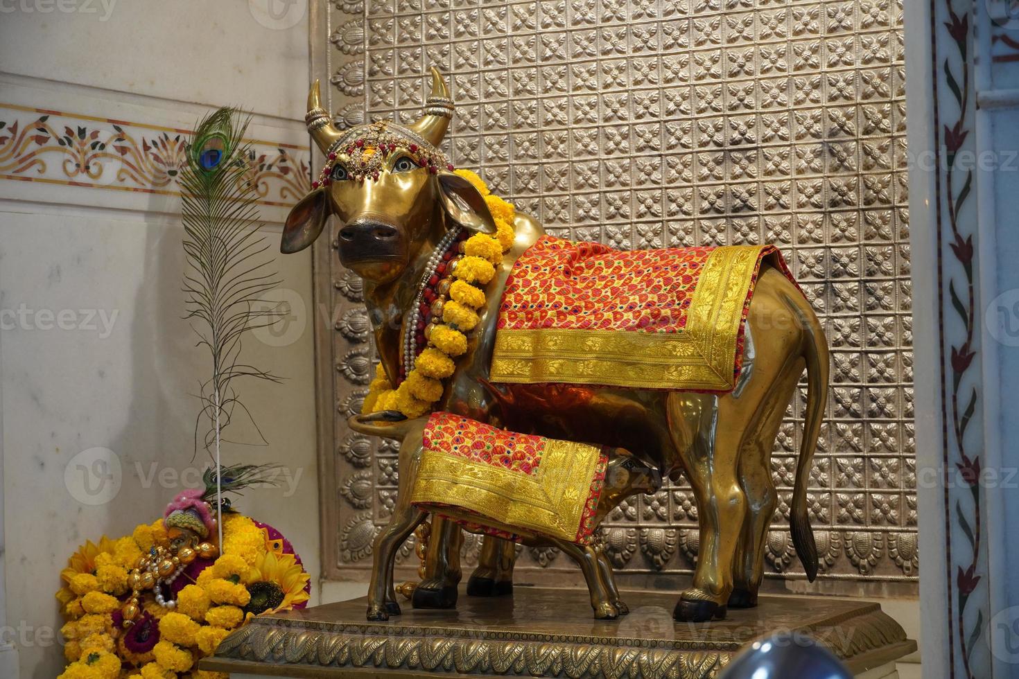 heilige kuhstatue am gau ghat in der stadt delhi in indien foto