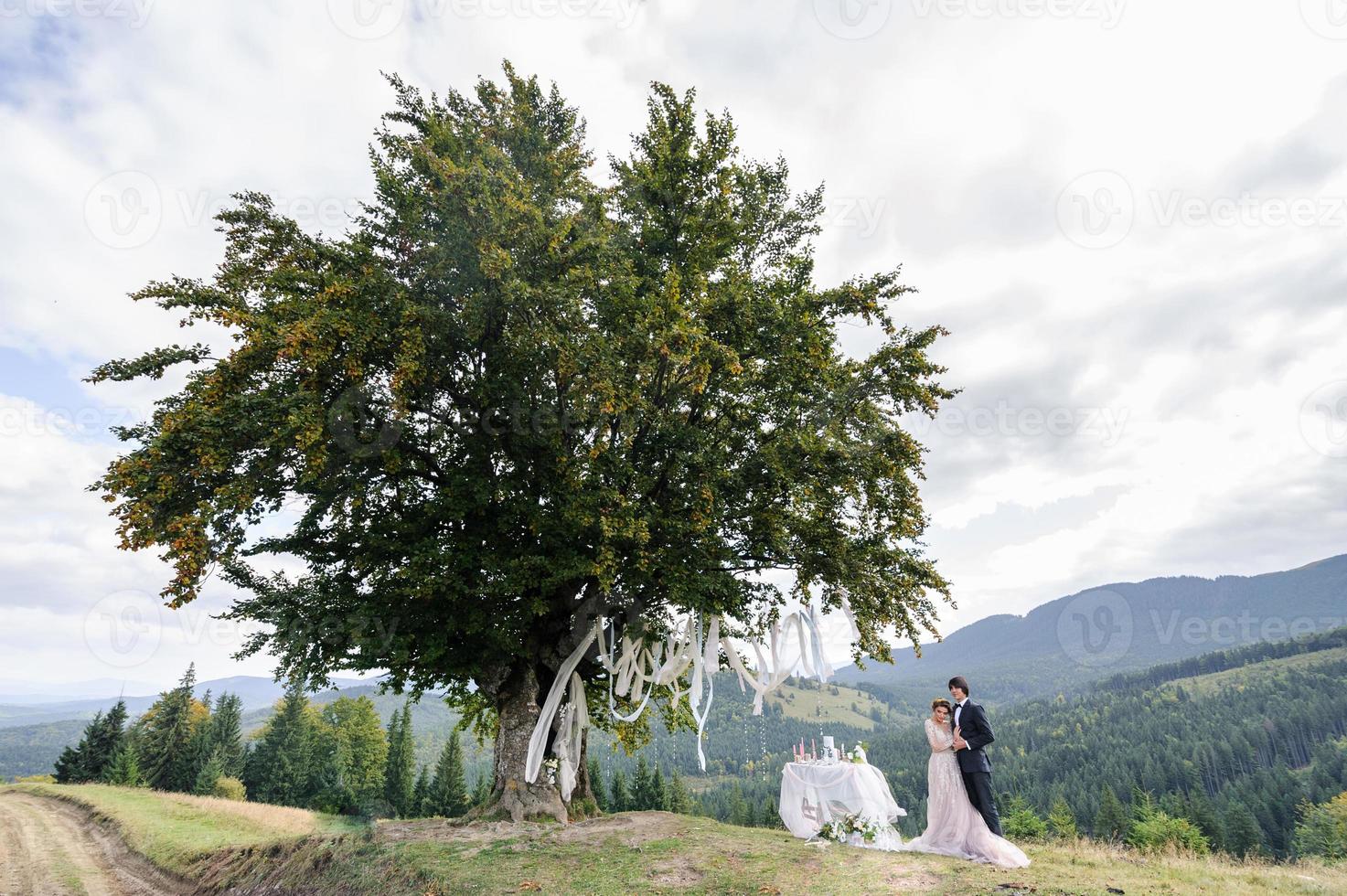 Braut und Bräutigam umarmen sich unter einer alten Eiche. Hochzeitsfotoshooting in den Bergen. daneben ist Dekor für die Zeremonie vorbereitet. foto