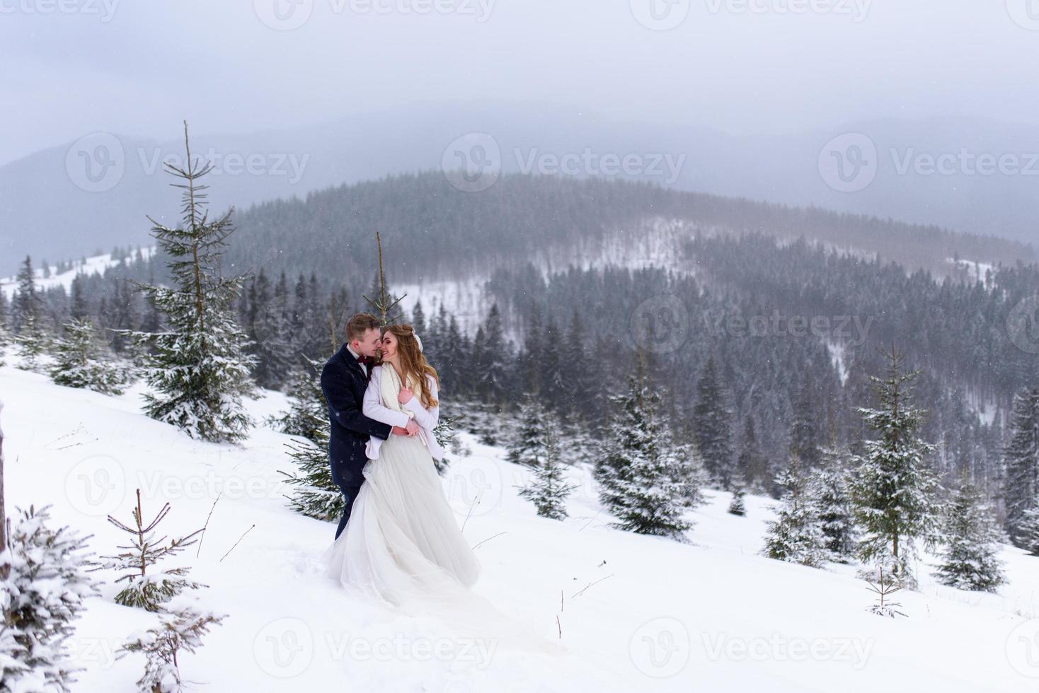 der bräutigam führt seine braut an der hand zu einer einsamen alten buche. Winterhochzeit. Platz für ein Logo. foto