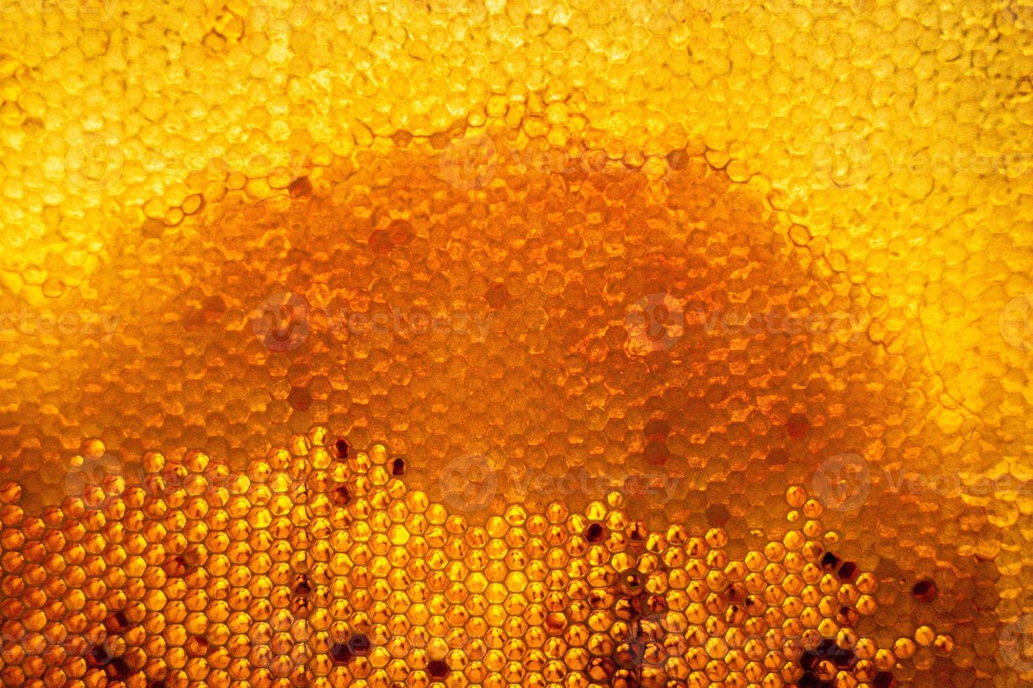 Bienenwabe aus Bienenstock gefüllt mit goldenem Honig foto