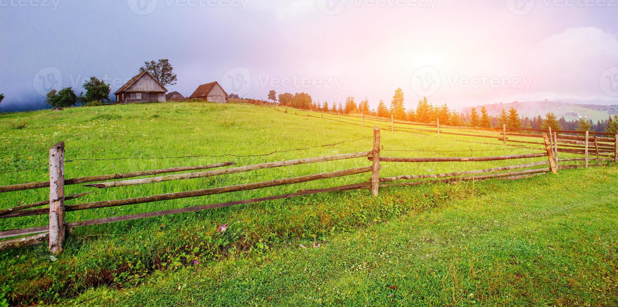 blauer Himmel mit einer schönen Wiese foto