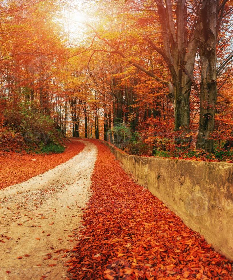 malerische Herbstlandschaft foto