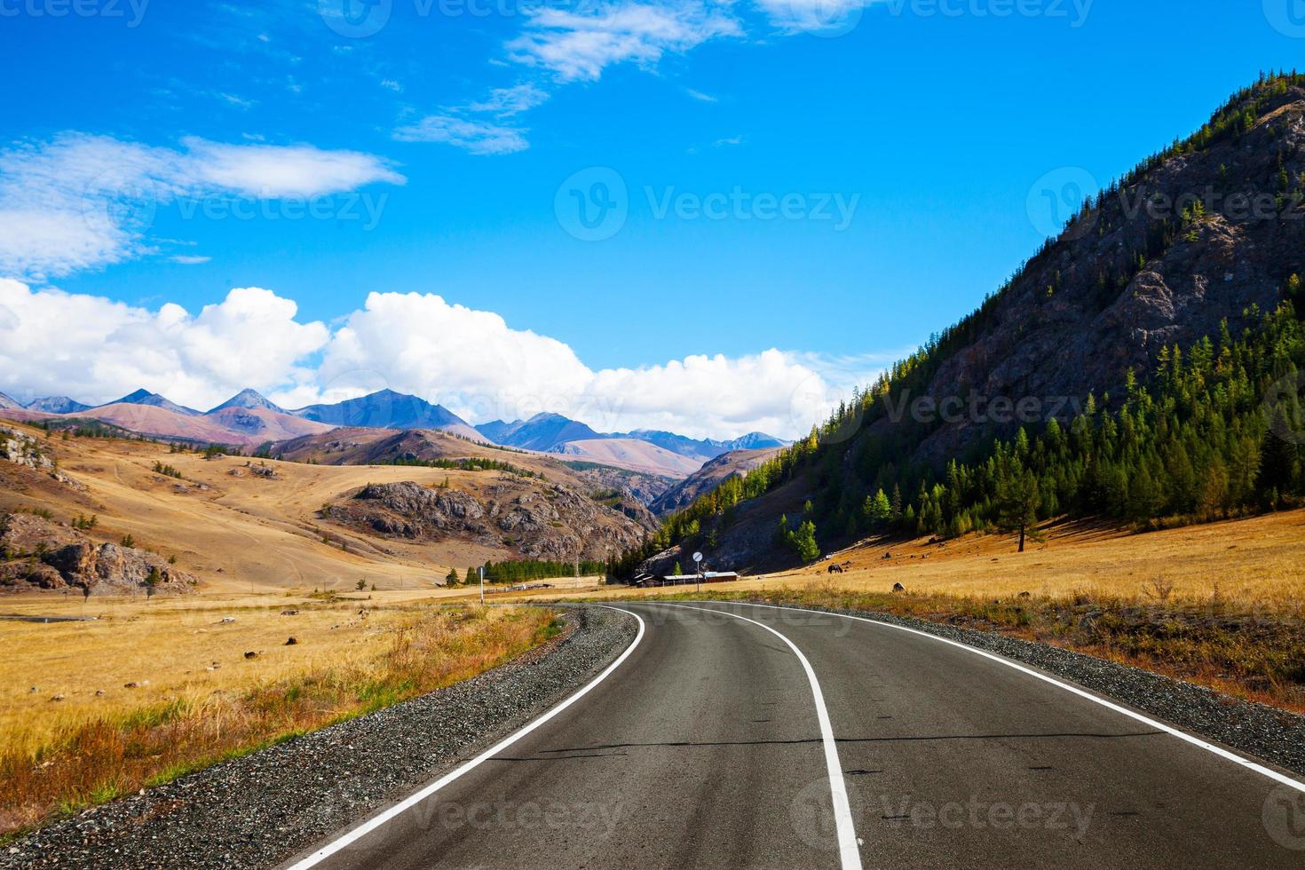 Landschaft mit ländlicher Asphaltstraße foto