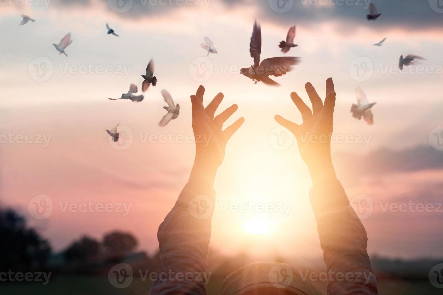 betende Frau und freier Vogel, der die Natur auf Sonnenuntergangshintergrund genießt, Hoffnungskonzept foto