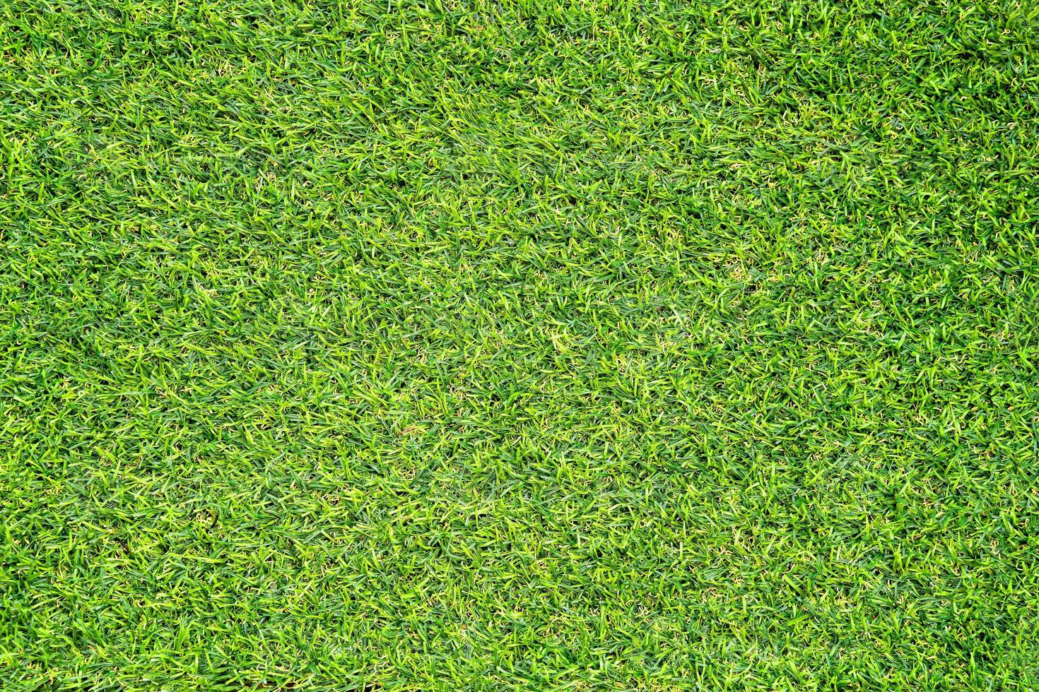 grünes Gras Textur für den Hintergrund. grünes Rasenmuster und Texturhintergrund. foto