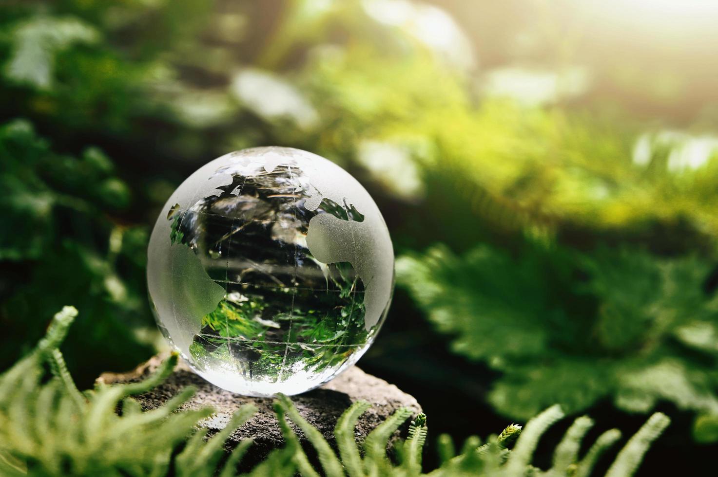 Kristallkugelglas, das auf Stein mit grünem Blatt und Sonnenschein im Naturforset ruht. Öko-Umweltkonzept foto
